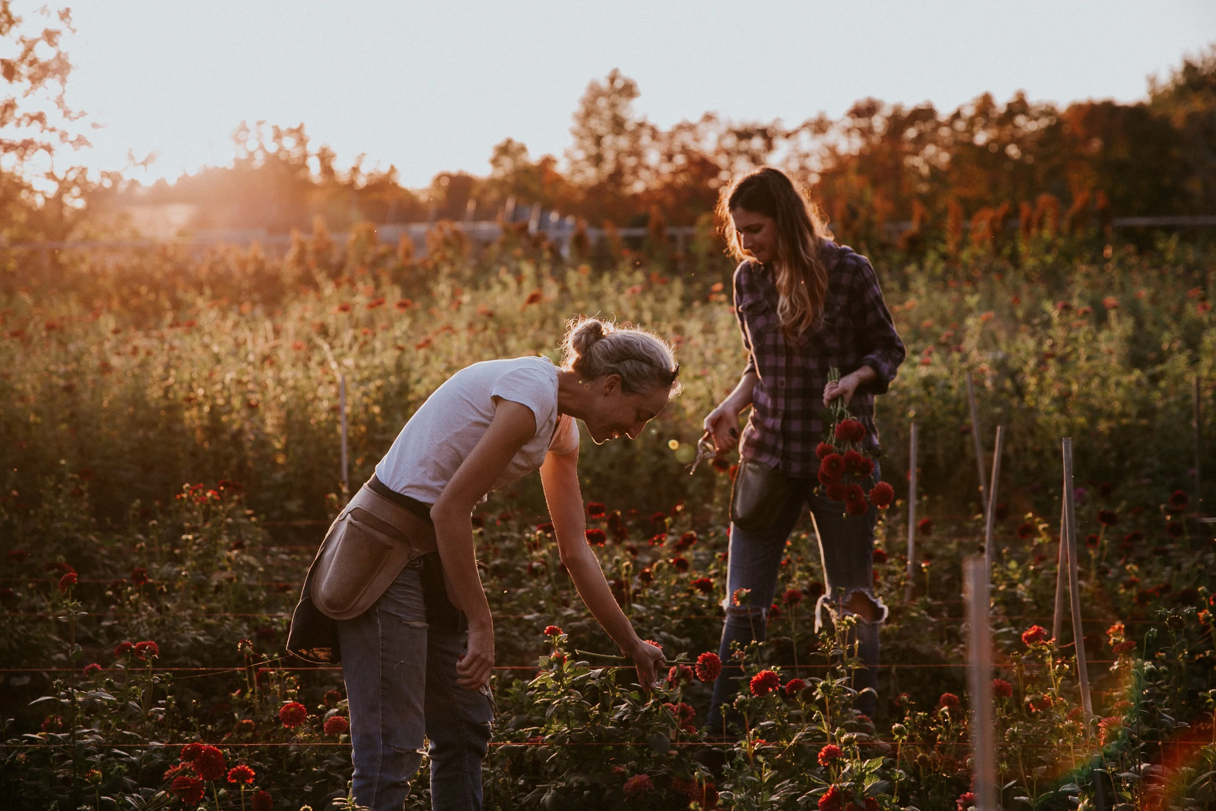 Field & Florist_131.jpg