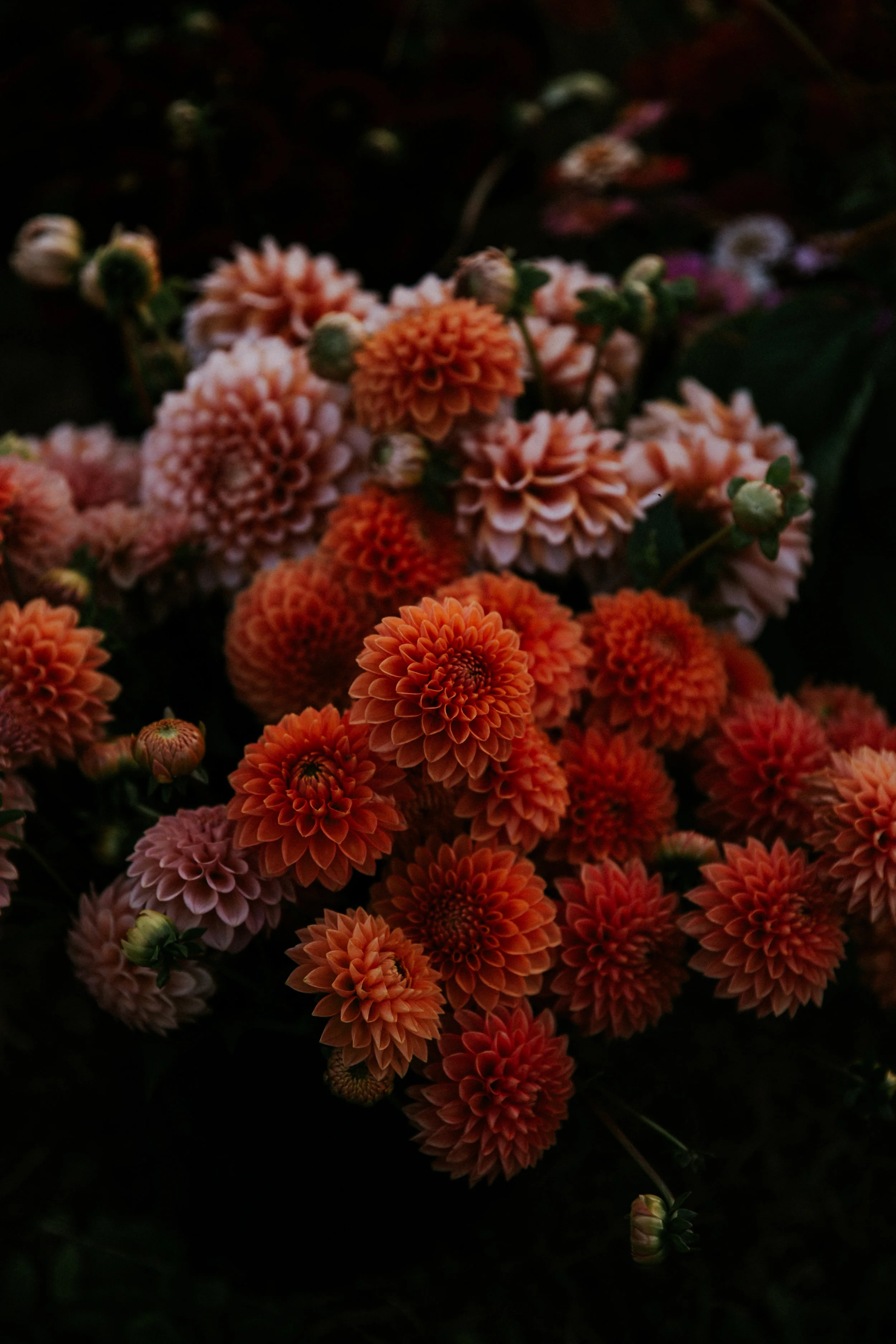 Field & Florist_143.jpg