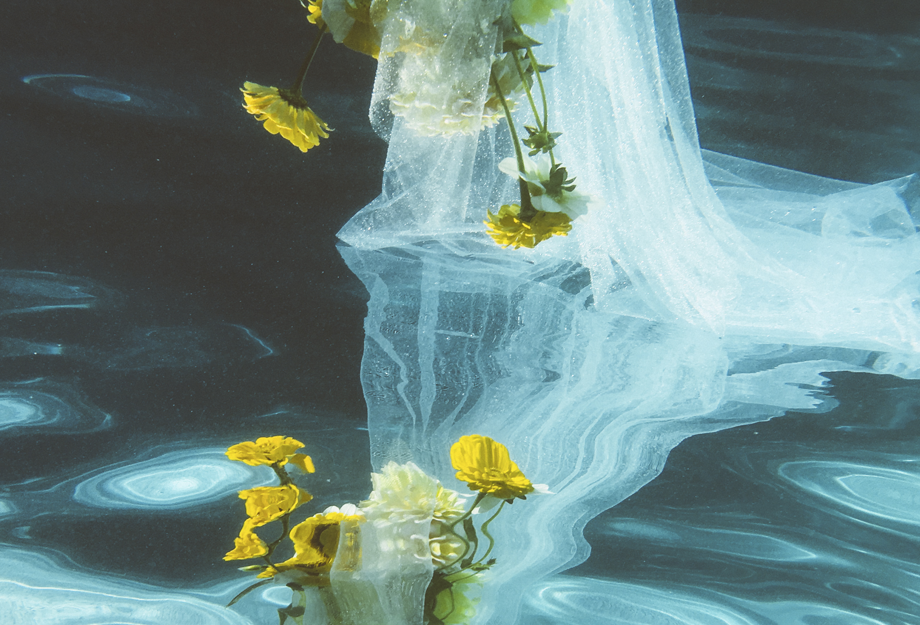 ff_pool_postcard__0003_ff_new_289.jpg