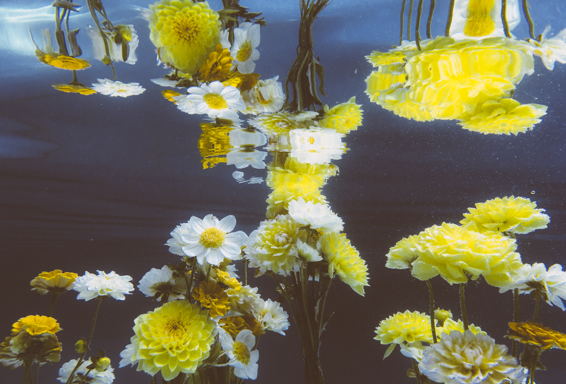 ff_pool_postcard__0004_Layer 0.jpg