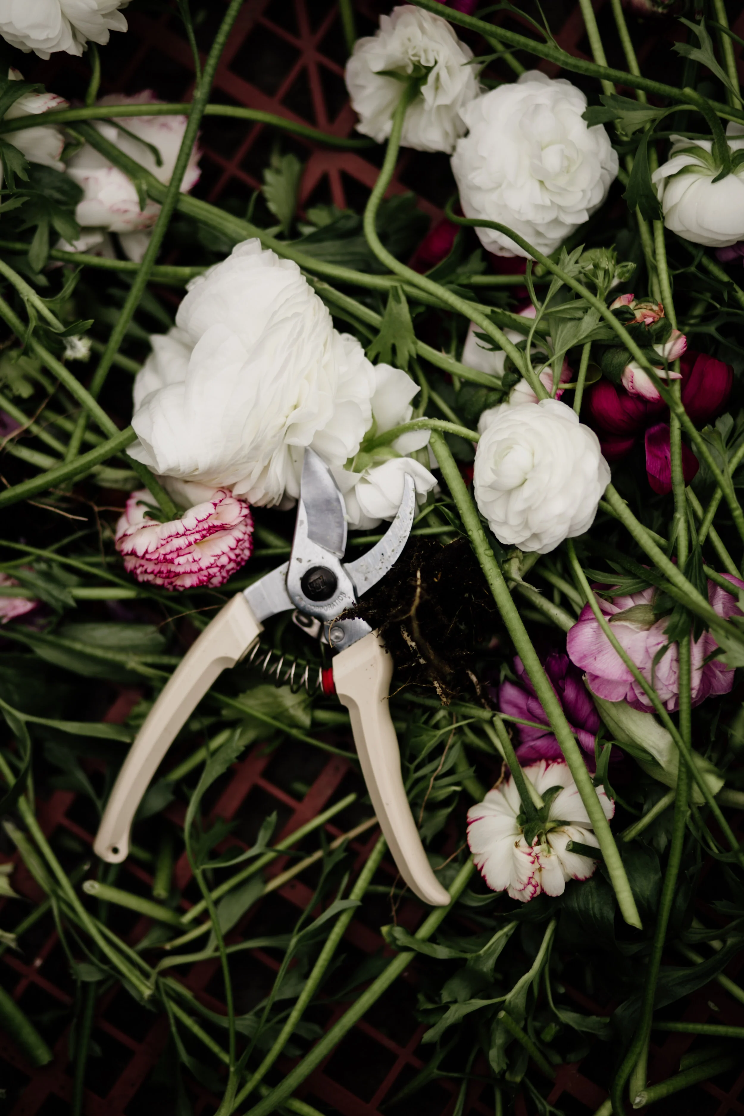 ARS Pruners — 7 inch Green — Field & Florist