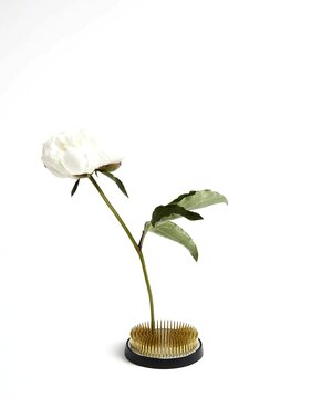 Eco-Friendly Ikebana Kenzan Flower Frog Flower Arrangement Holder – Floral  Supplies Store