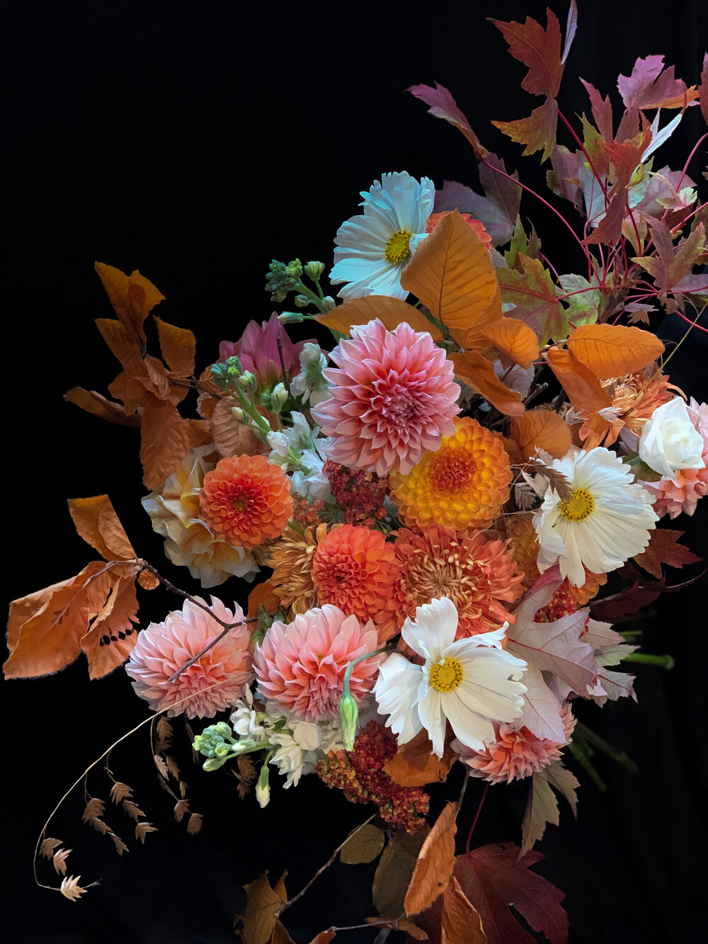 Flower Arrangements, Floral Arrangements Delivery