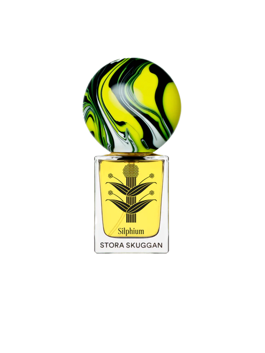 Stora Skuggan — Silphium — Field & Florist