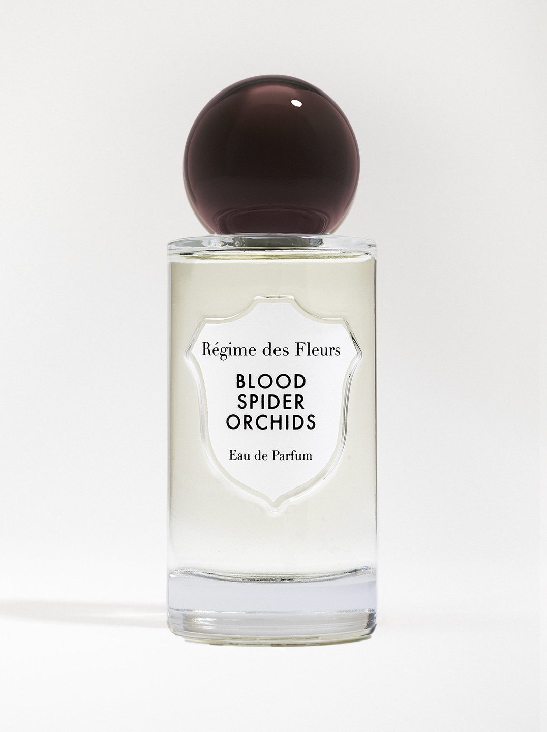bloodspiderorchids.png