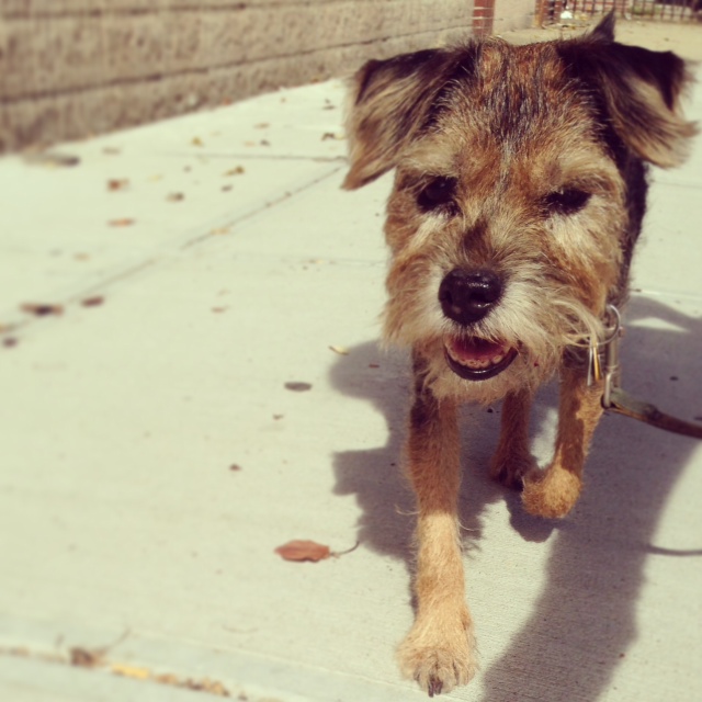 Winnie