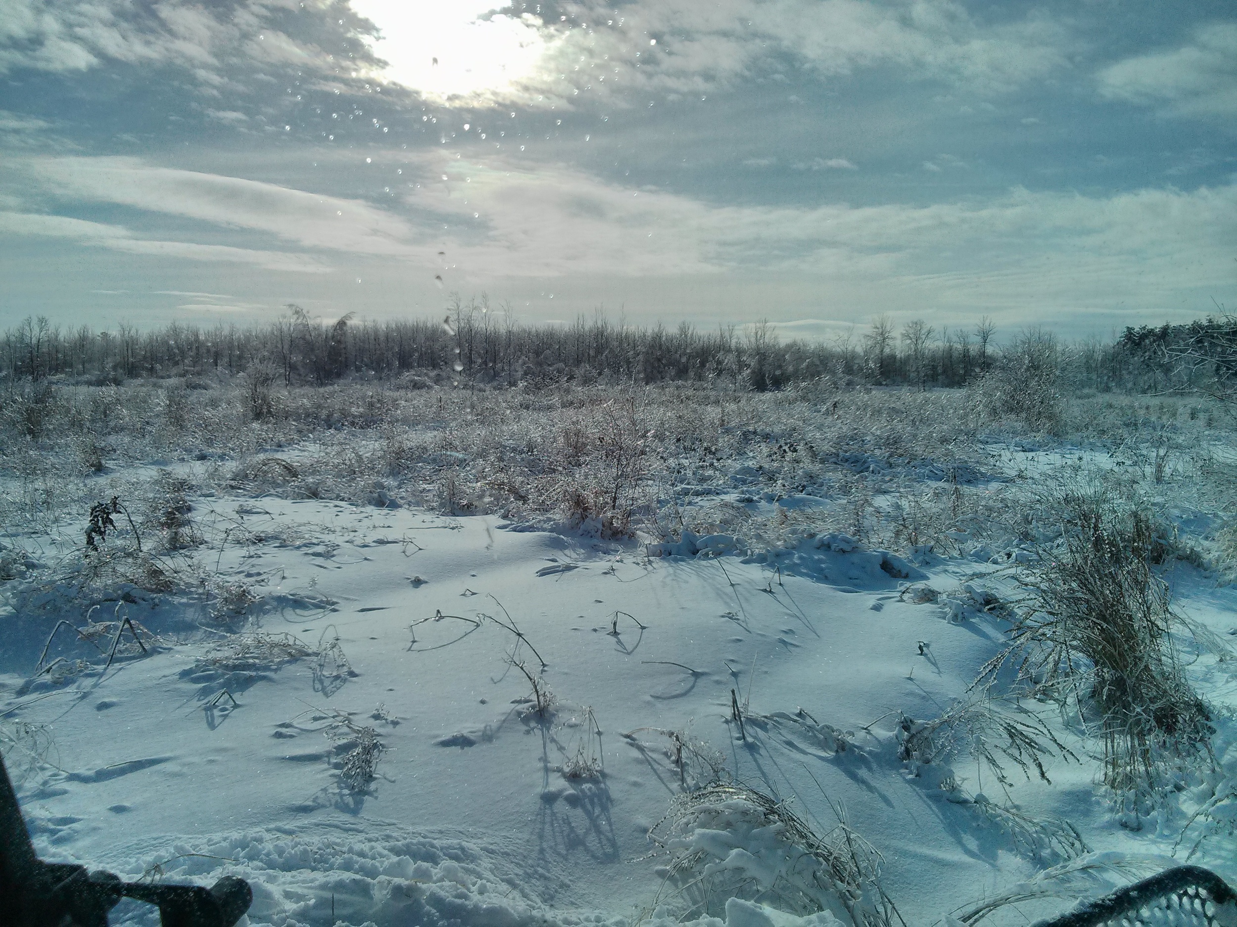 IMG_20150110_133541.jpg