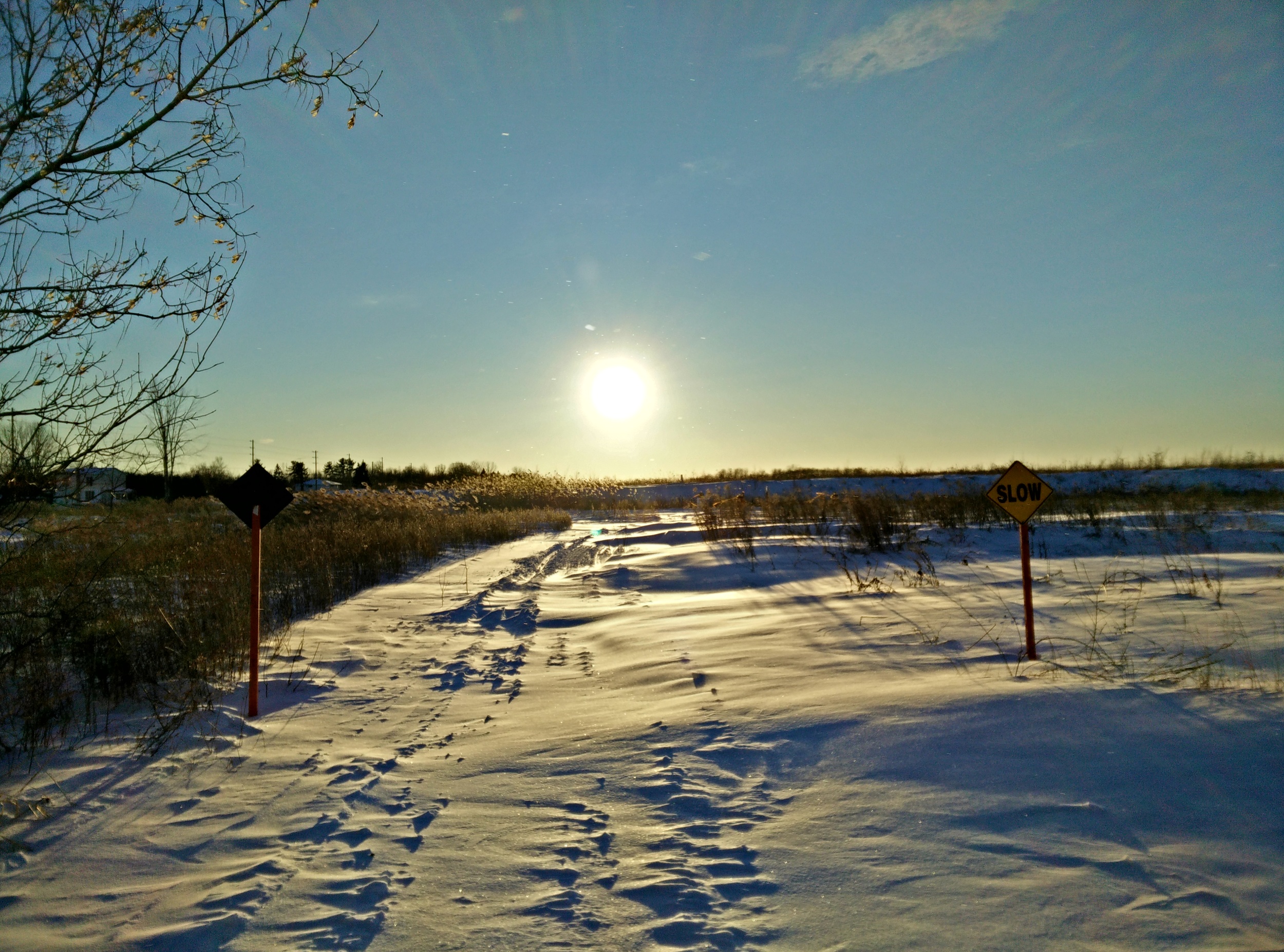 IMG_20150130_162359.jpg