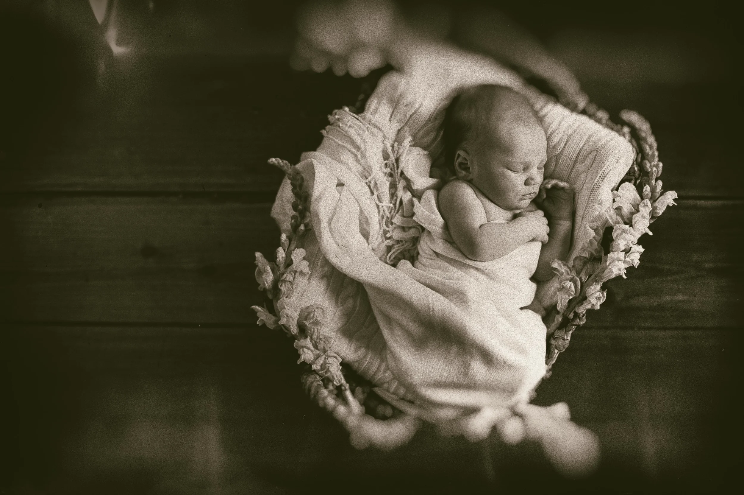 sarahpoephotography (251 of 269).jpg