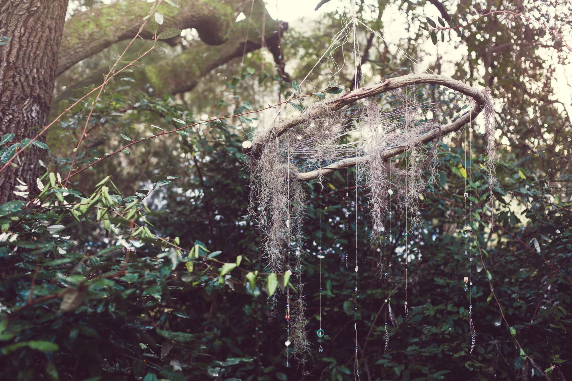 sarahpoephotography.dreamcatchers (4 of 23).jpg