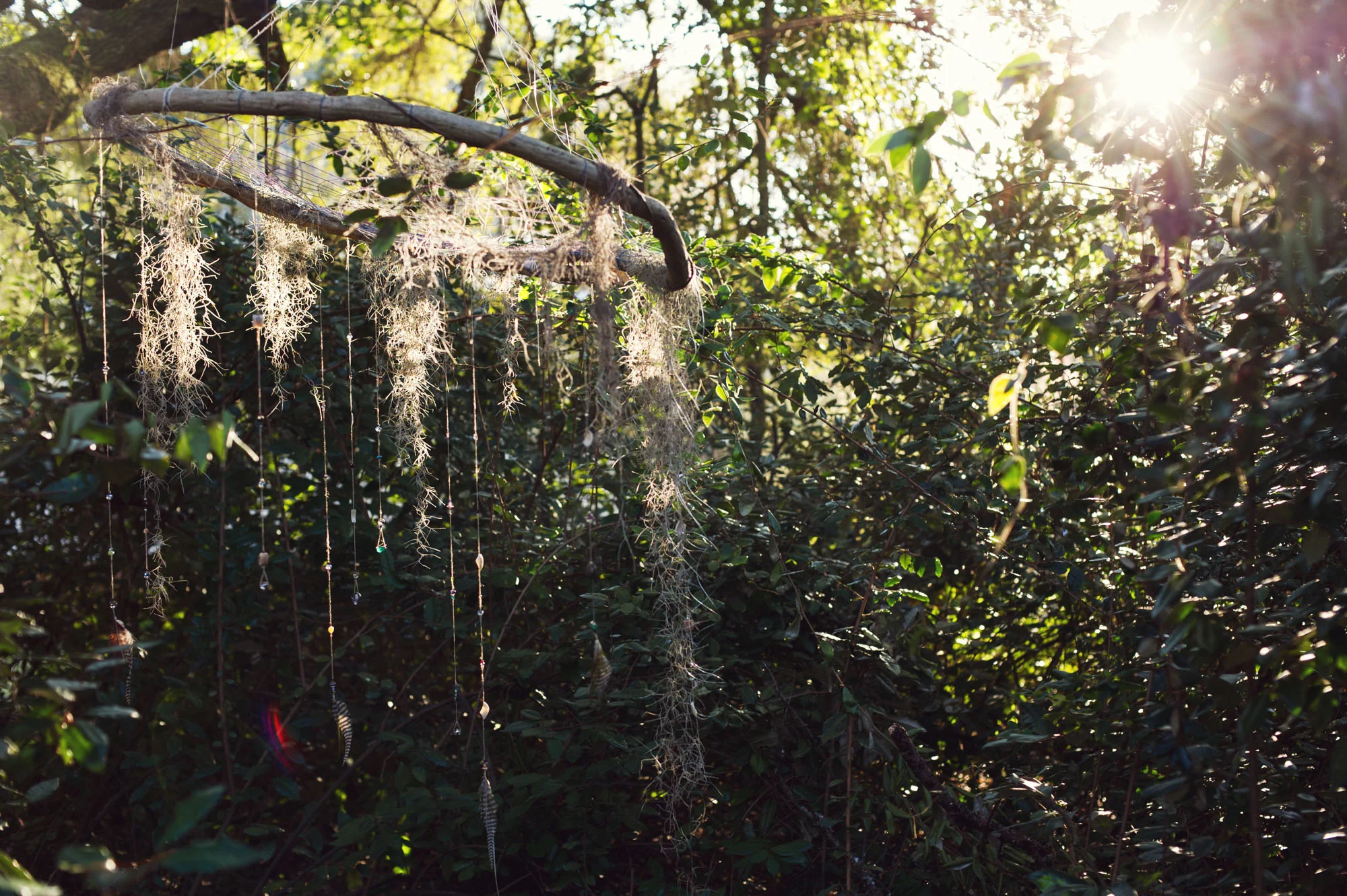 sarahpoephotography.dreamcatchers (1 of 23).jpg