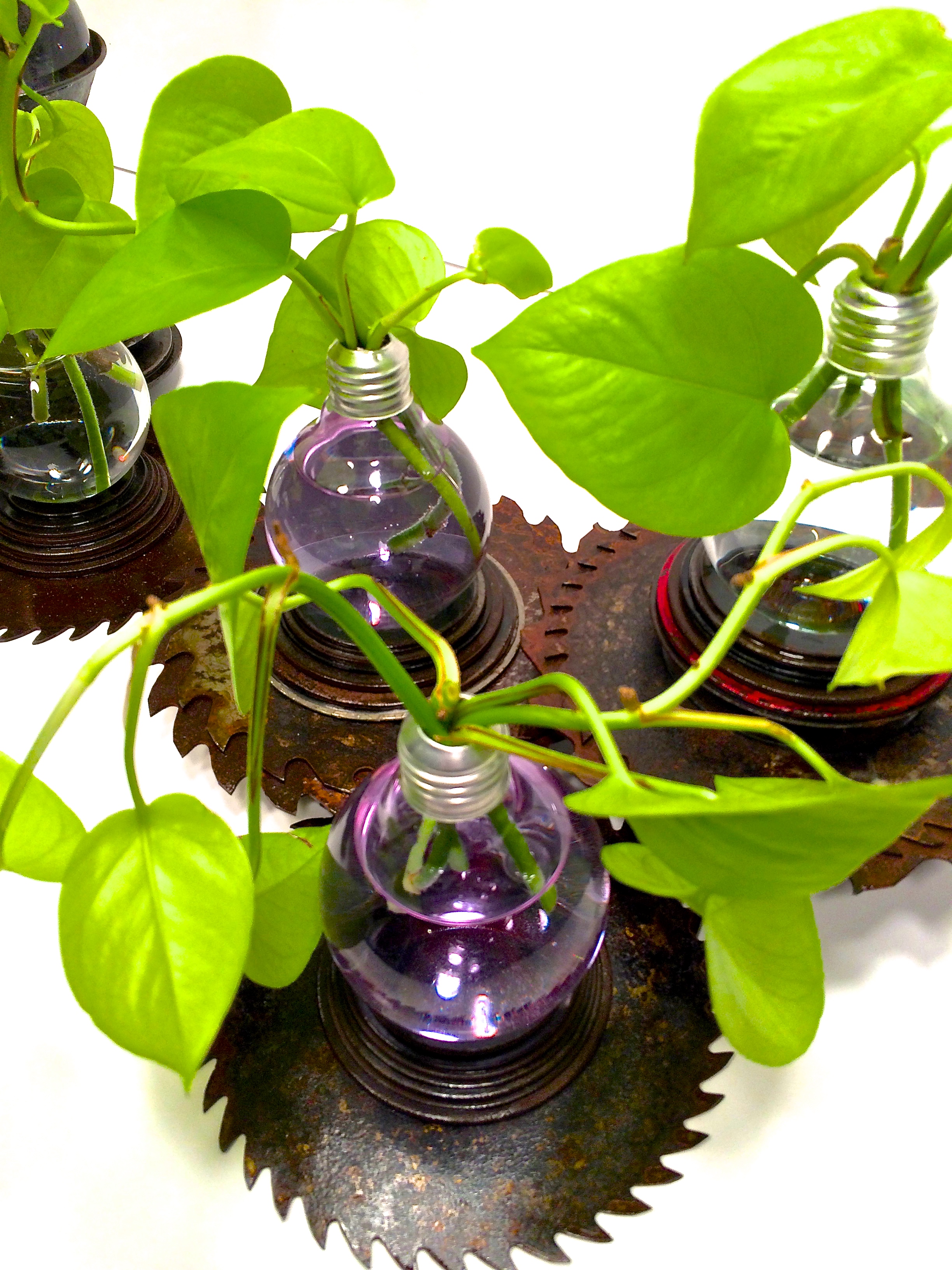 Lightbulb plant stands