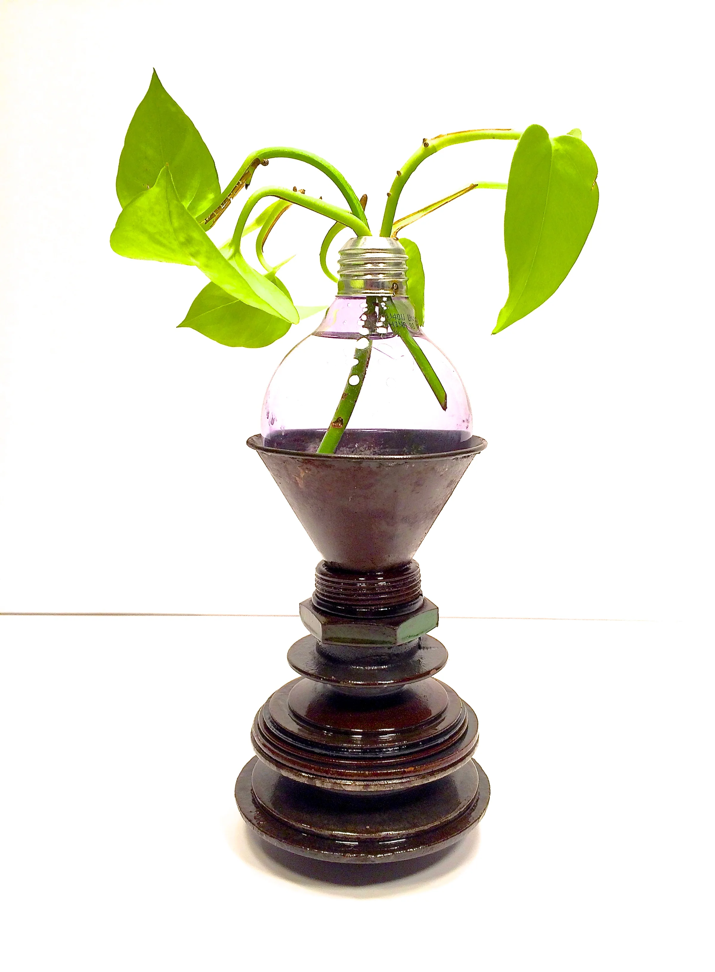 Lightbulb planter