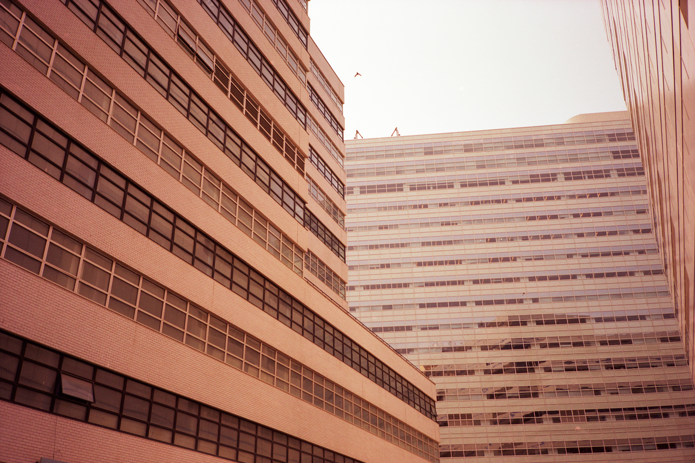 (Un)colored, New York City