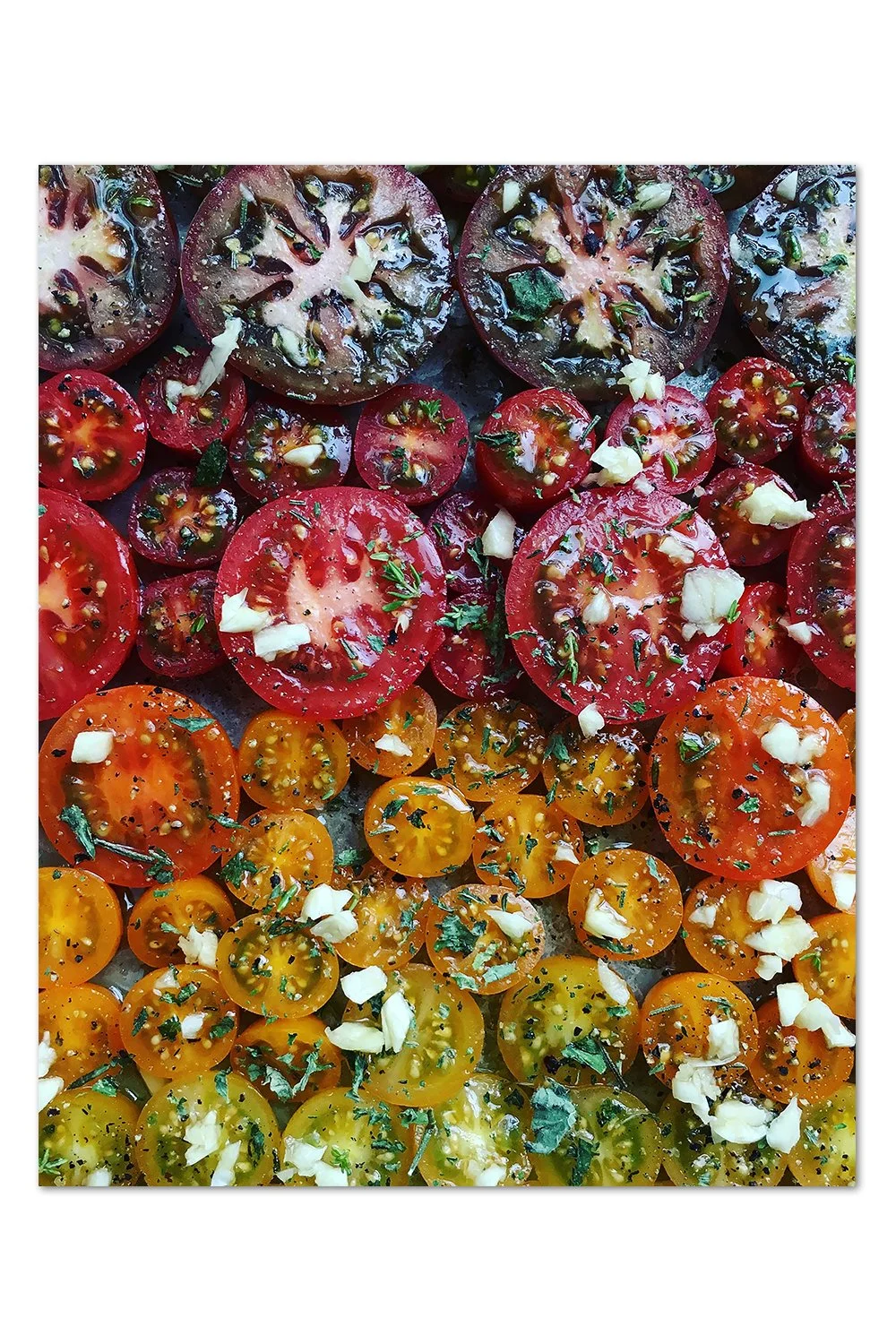 Tomato Gradient Headed Into the Oven Print