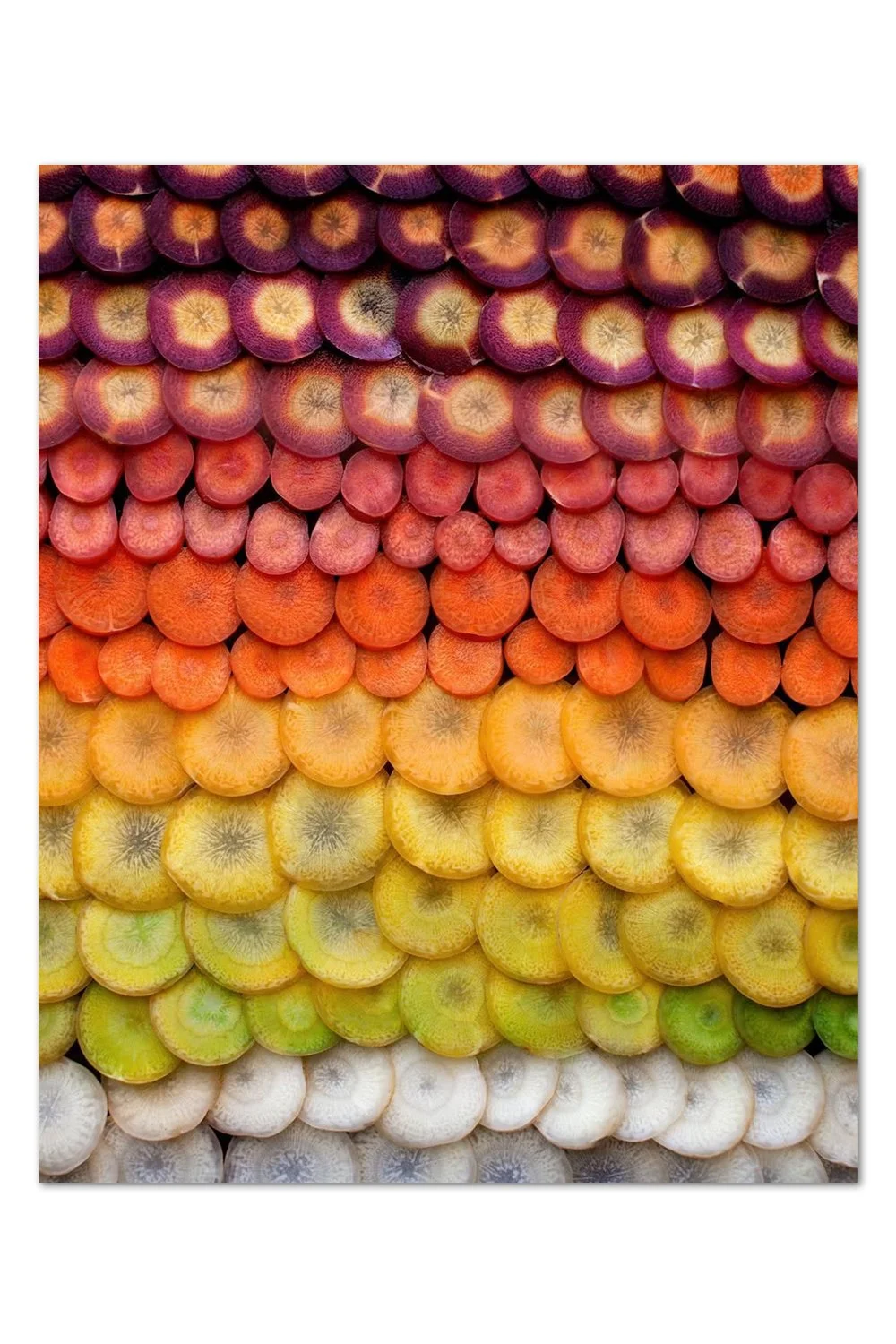 Carrot Slice Gradient Print