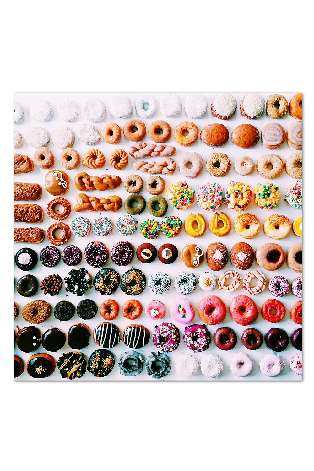 Donut Gradient Print