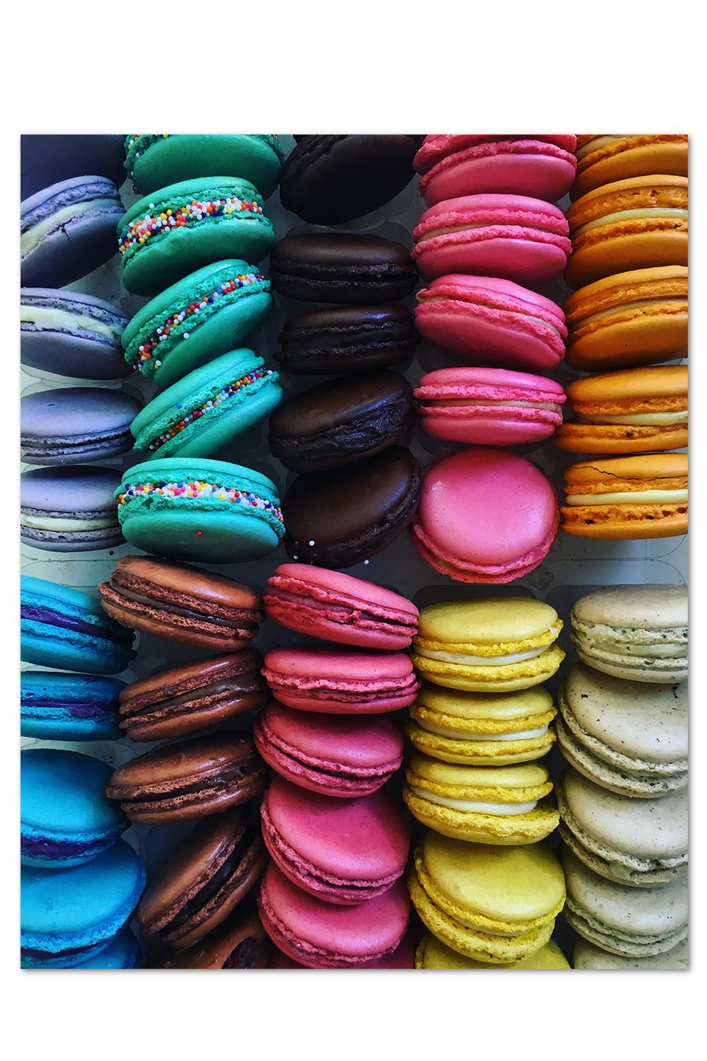 Macaron Print
