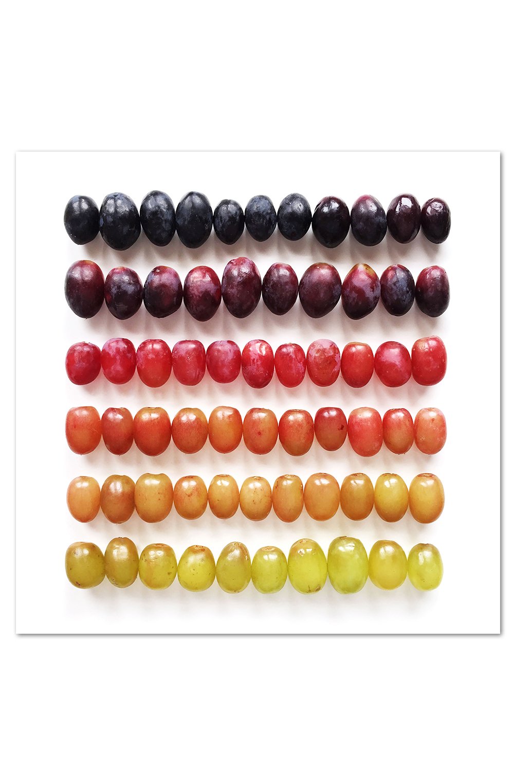 Grape-dient Print