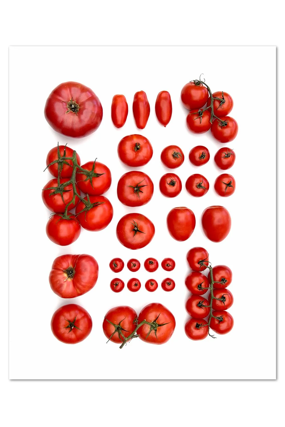 Red Tomato Pattern Print