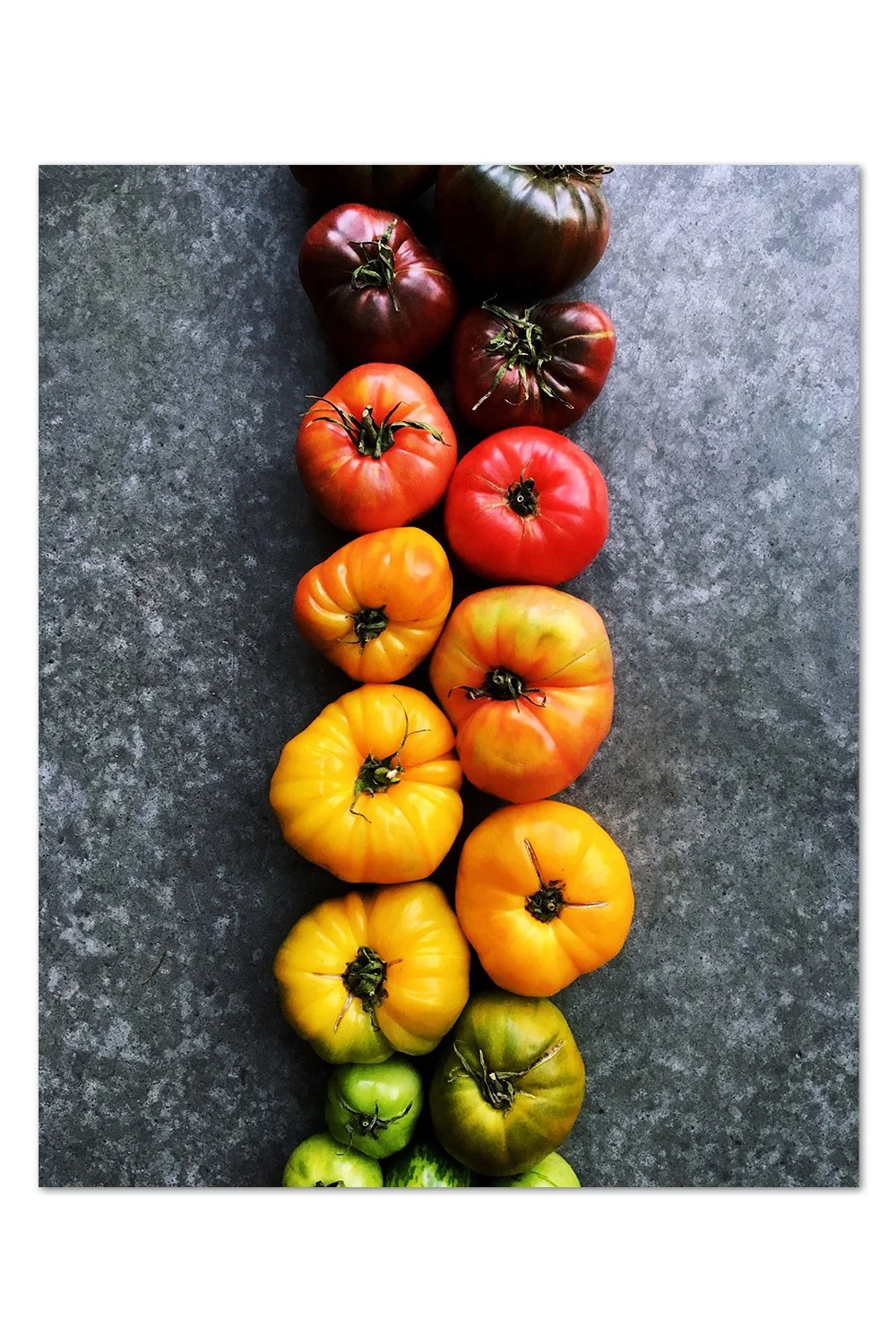 Tomato Gradient v.3 Print