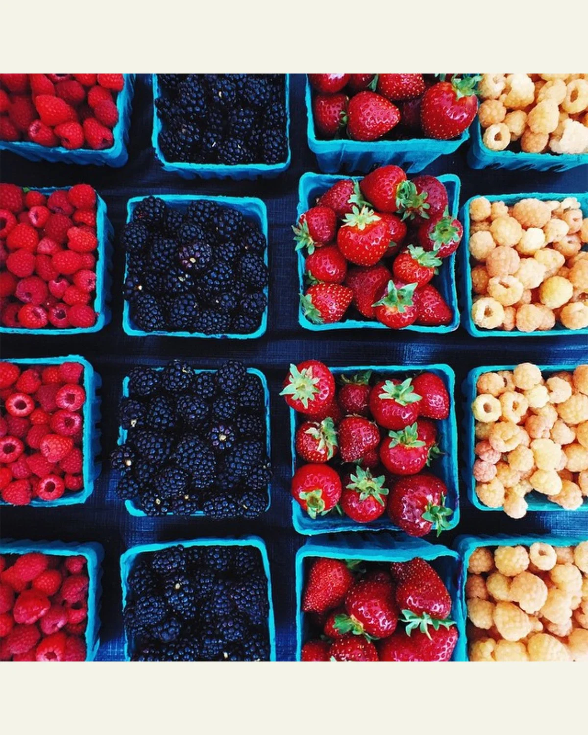 Market-BerryColors.jpg