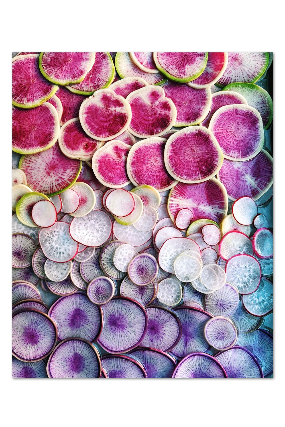 Sliced Radish Print v.1