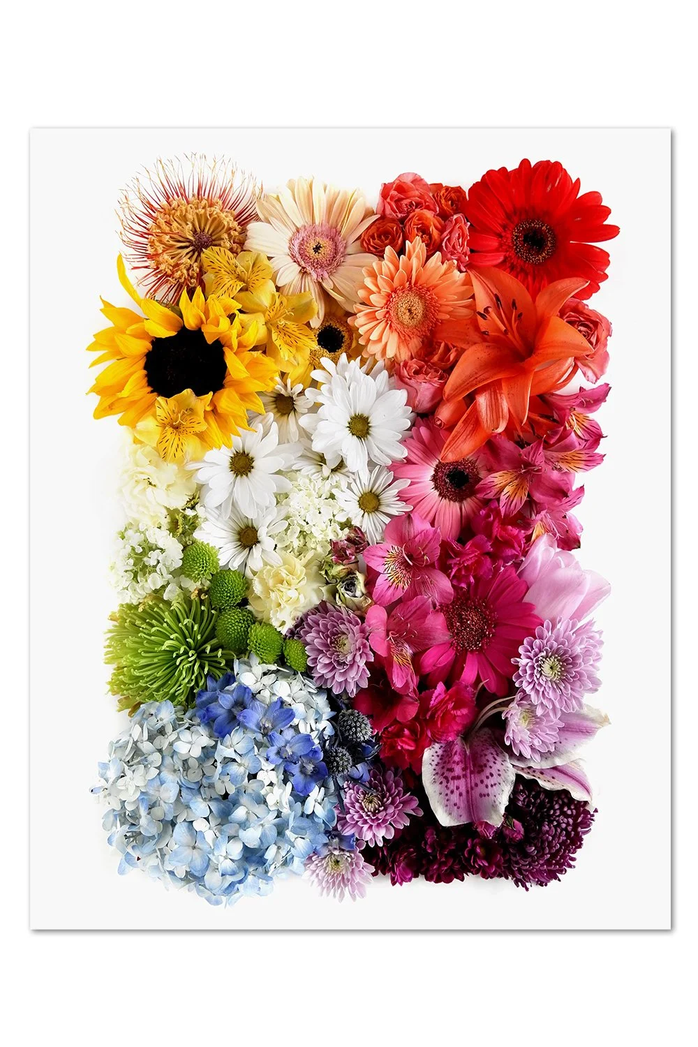 Flower Gradient Print