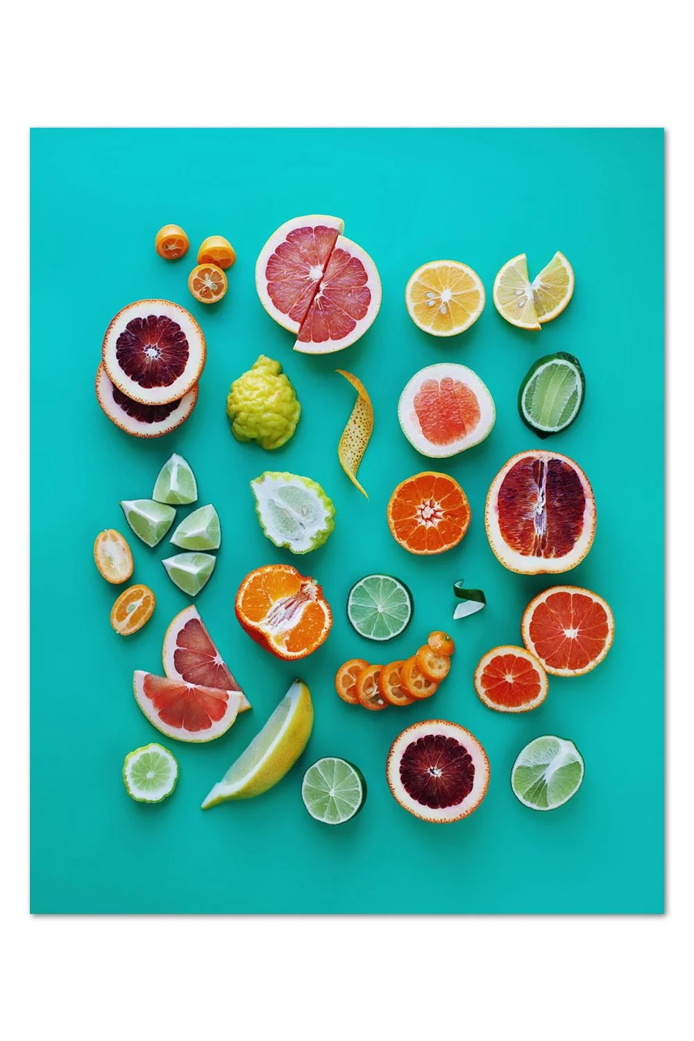 Citrus Shapes and Textures Print
