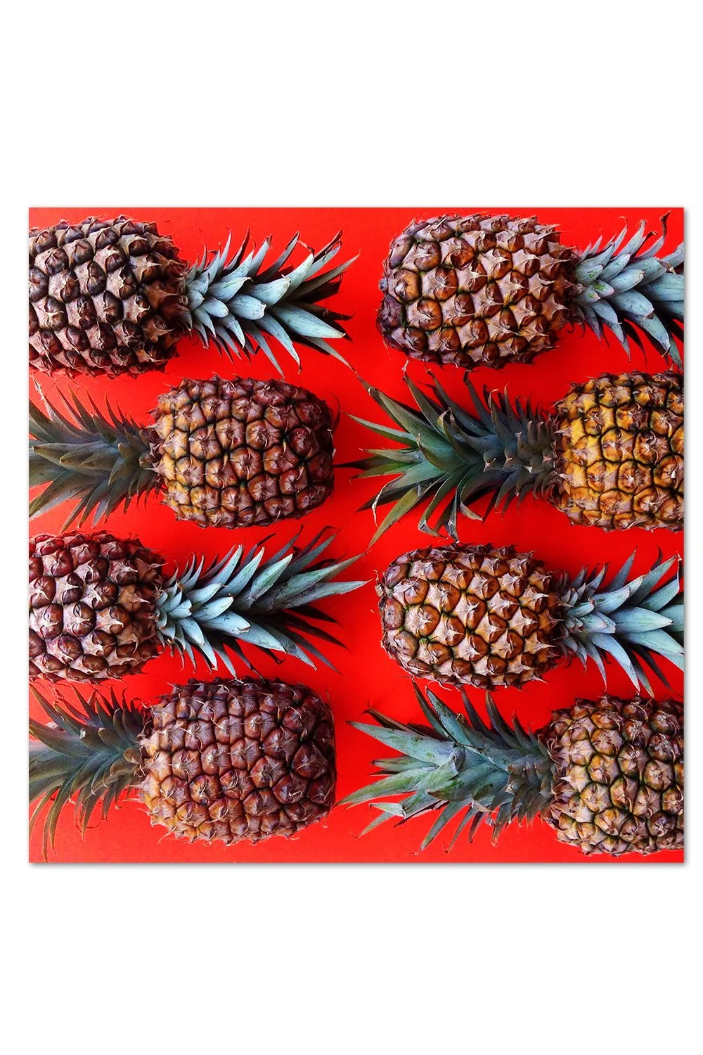 Pineapple Pattern Print
