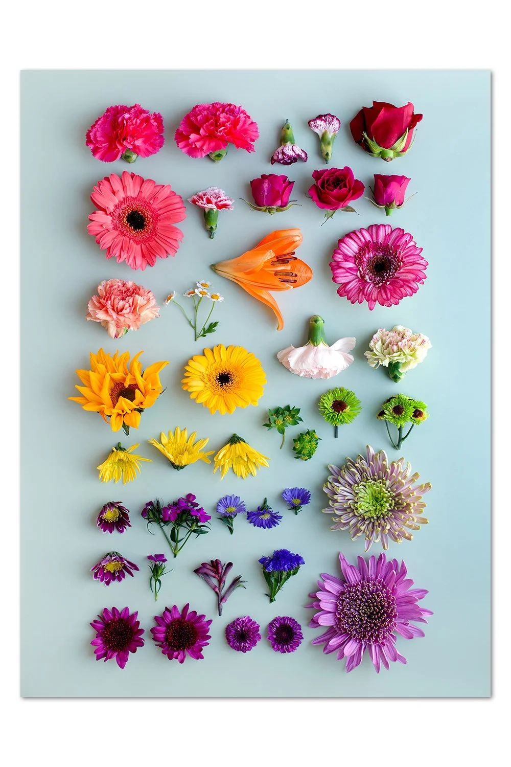 Flower Gradient v.2 - Limited Poster Edition