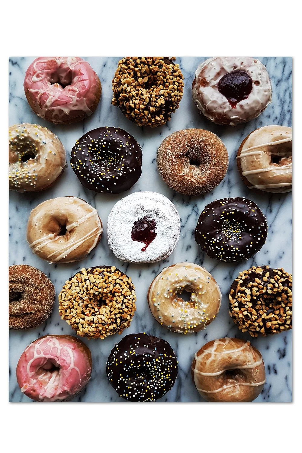 Donut Pattern Print