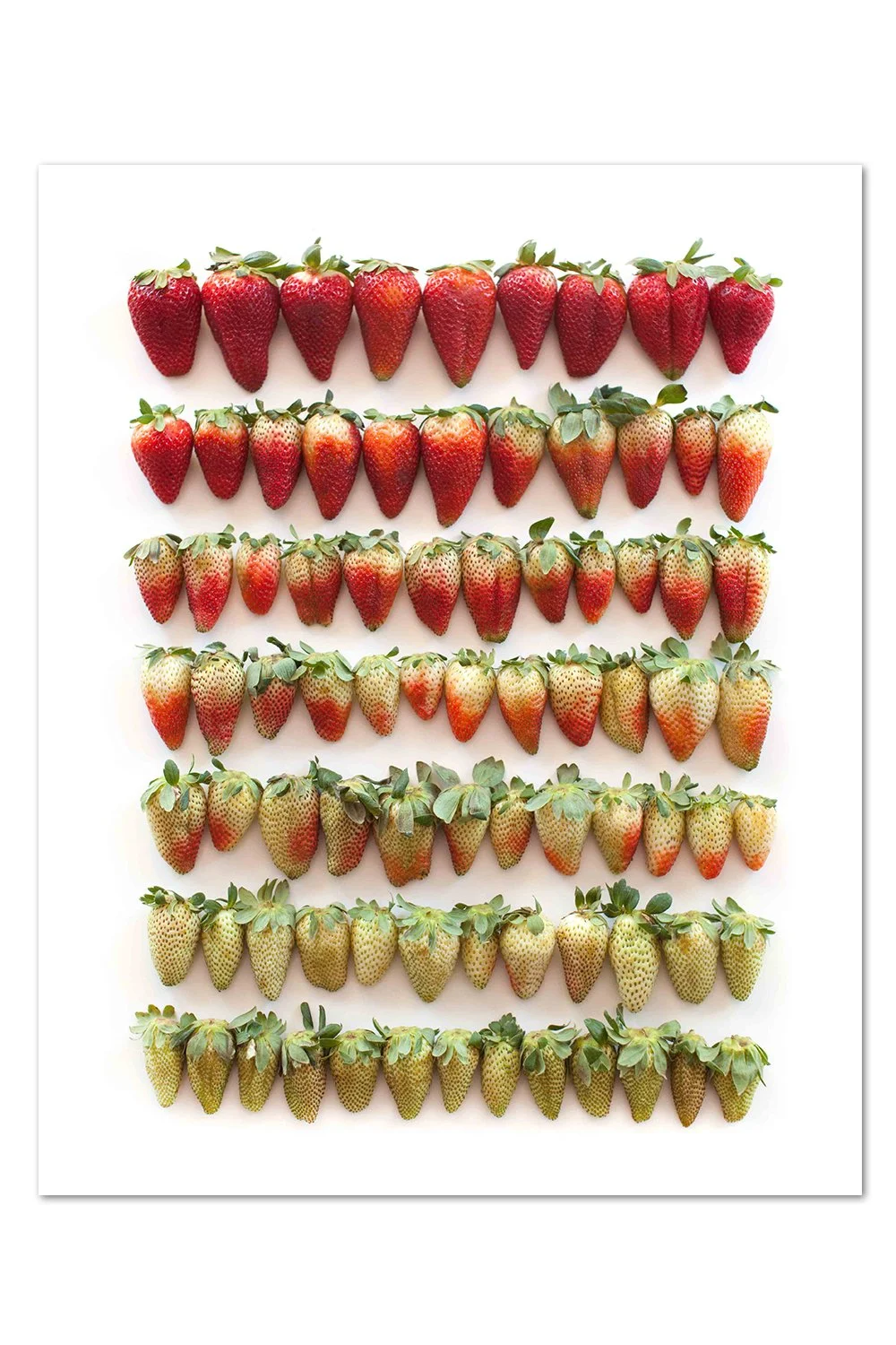 Strawberry Gradient Print
