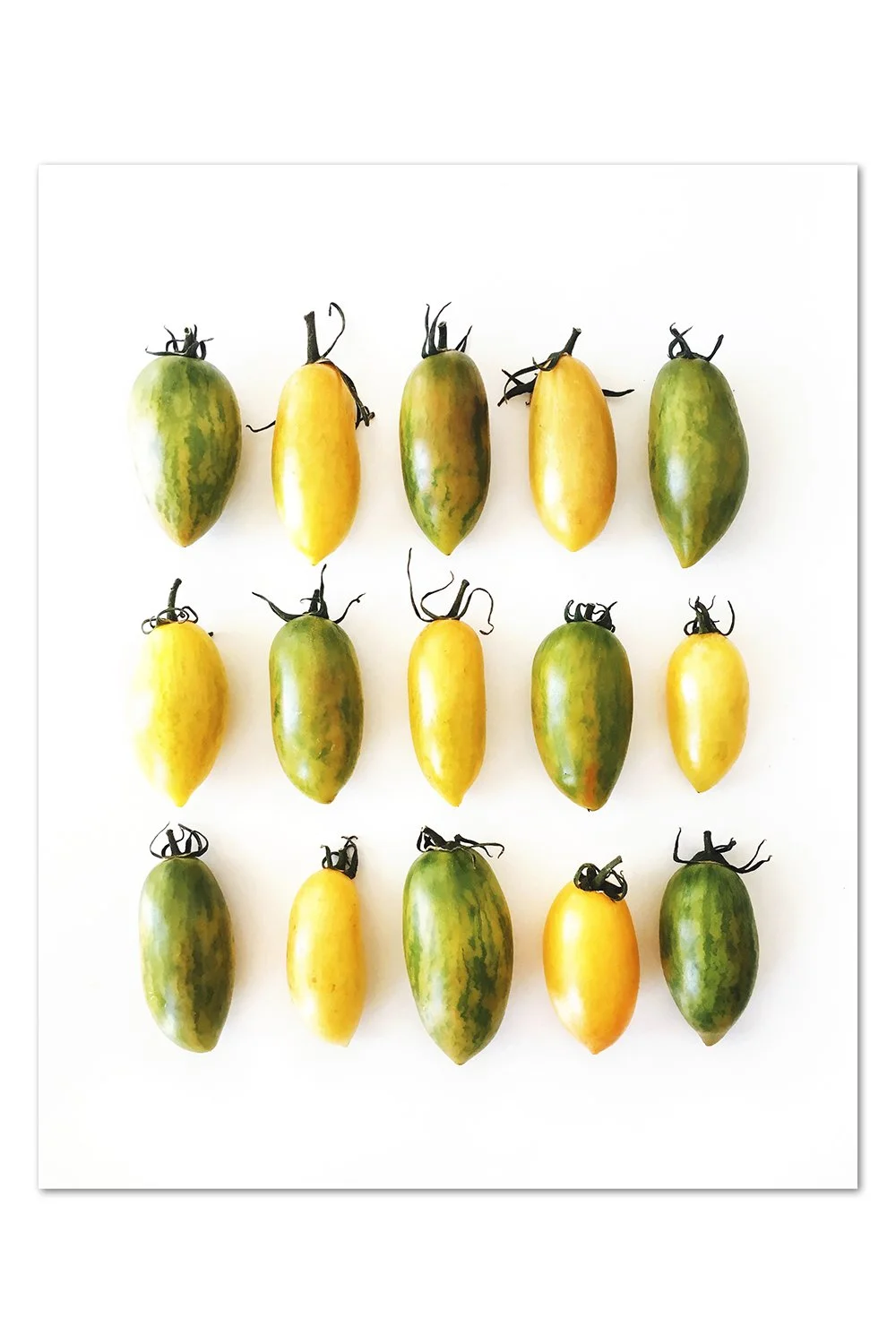 Yellow and Green Tomato Pattern