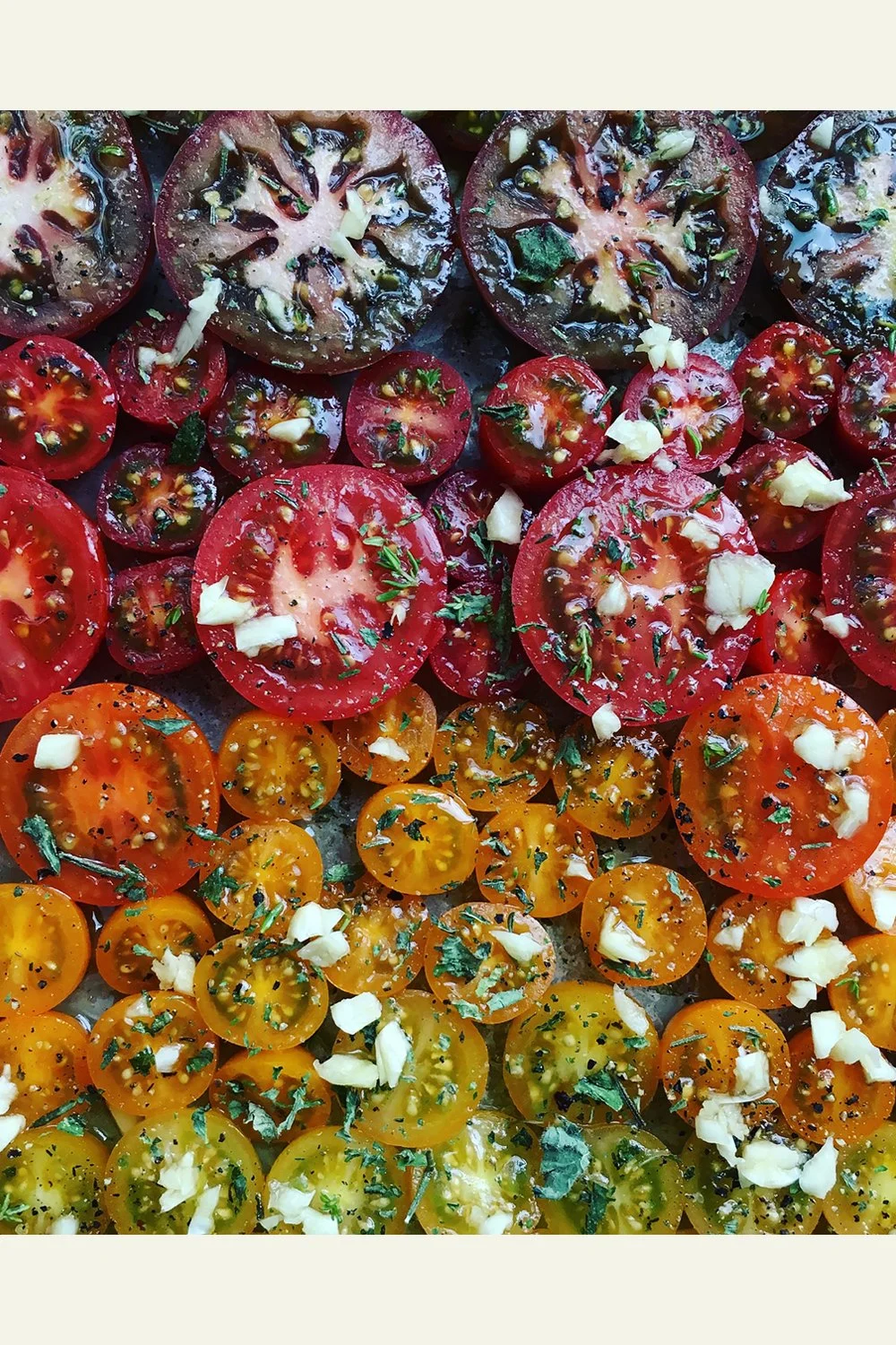 Tomato Gradient Headed Into the Oven Print