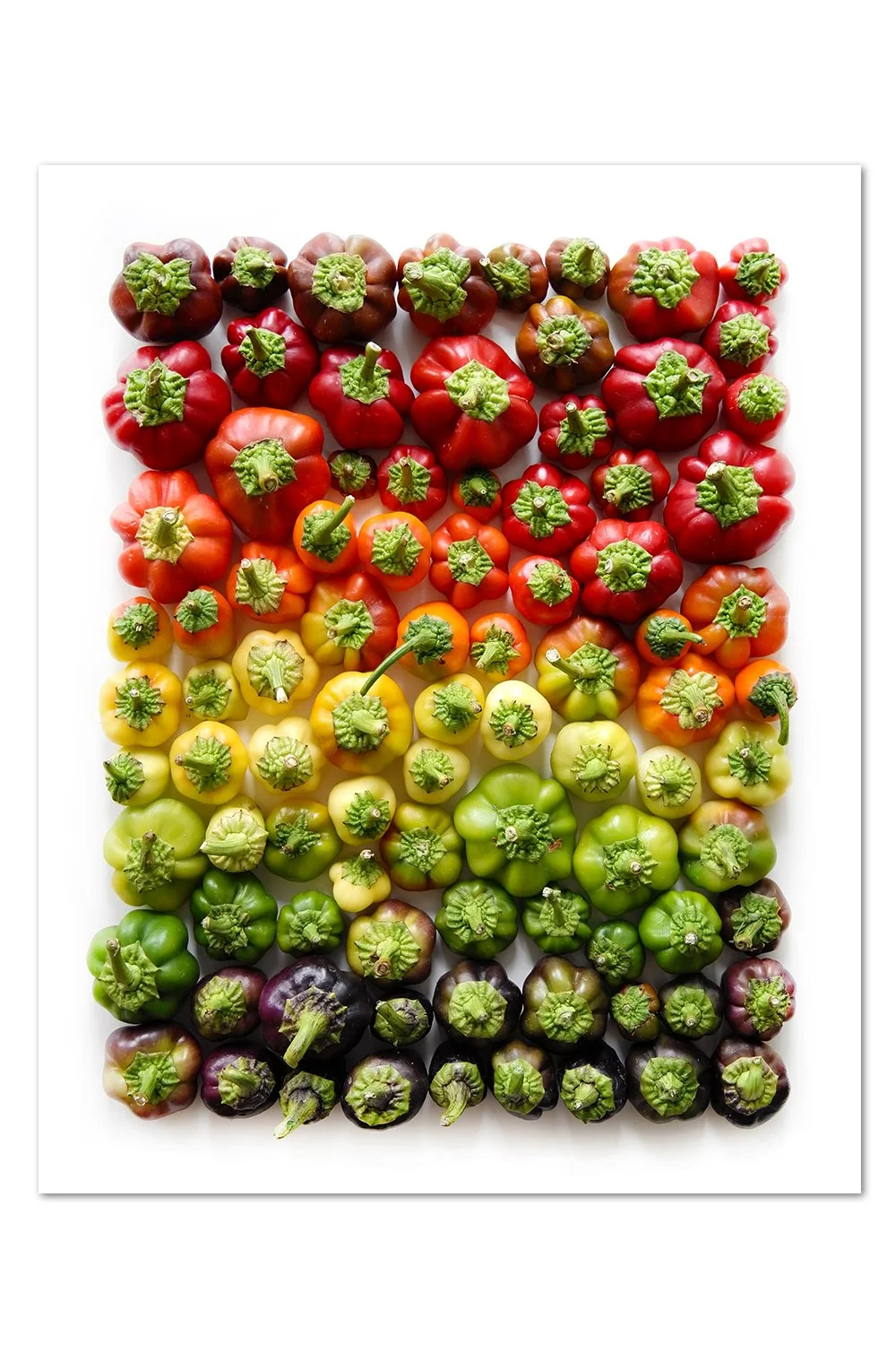 Pimento-Pepper-Gradient-wrightktichen.com.jpg