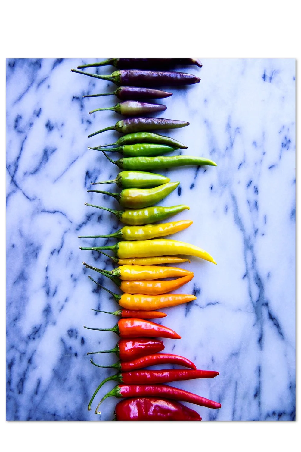 Rainbow Pepper Gradient Print