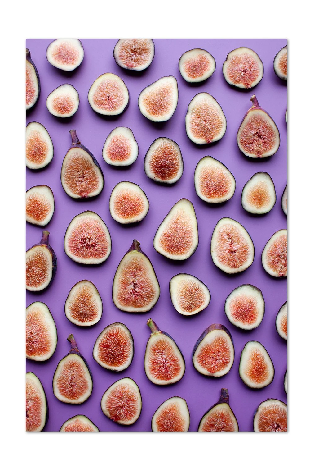 Fig Pattern Print