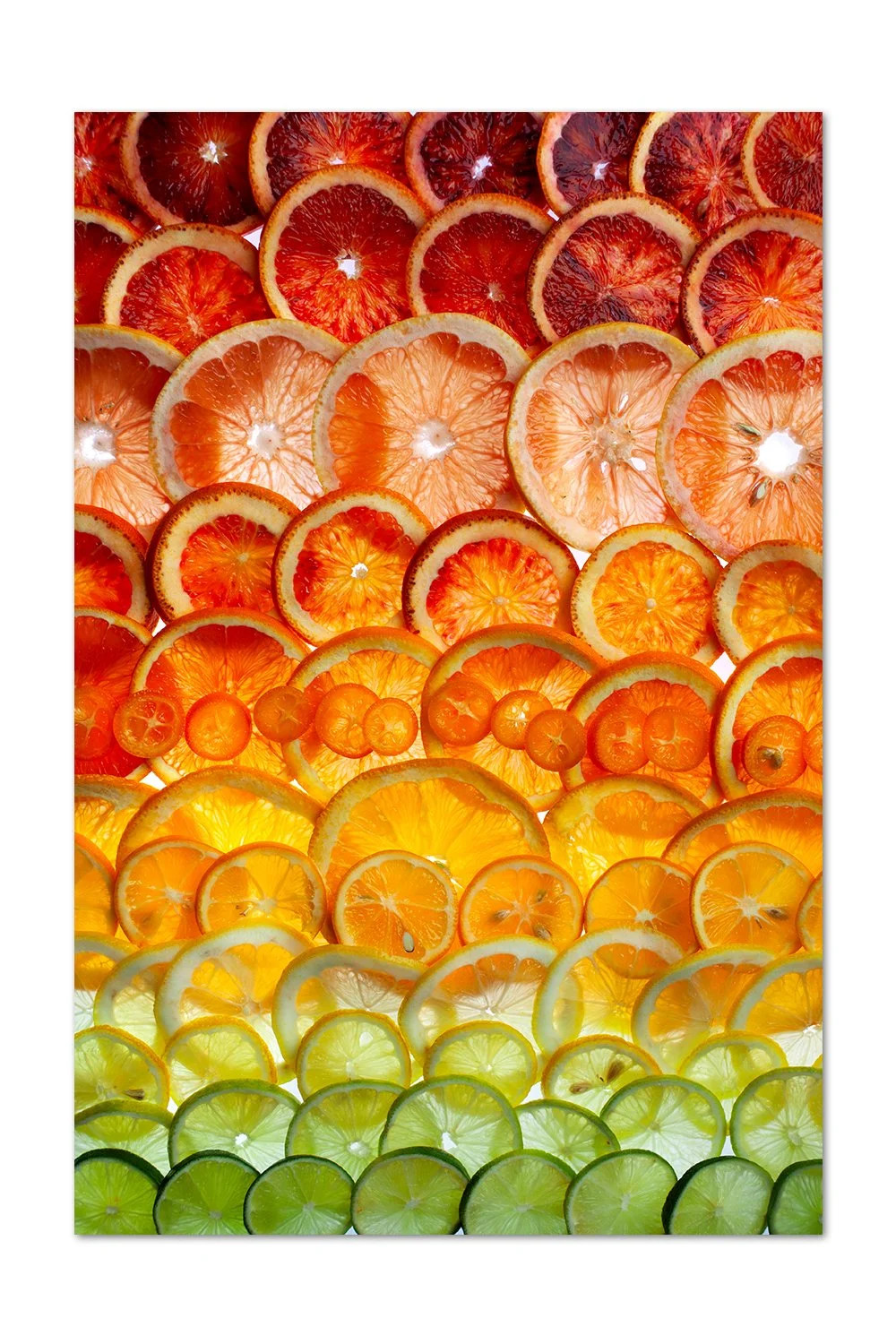 Backlit Sliced Citrus Gradient Print