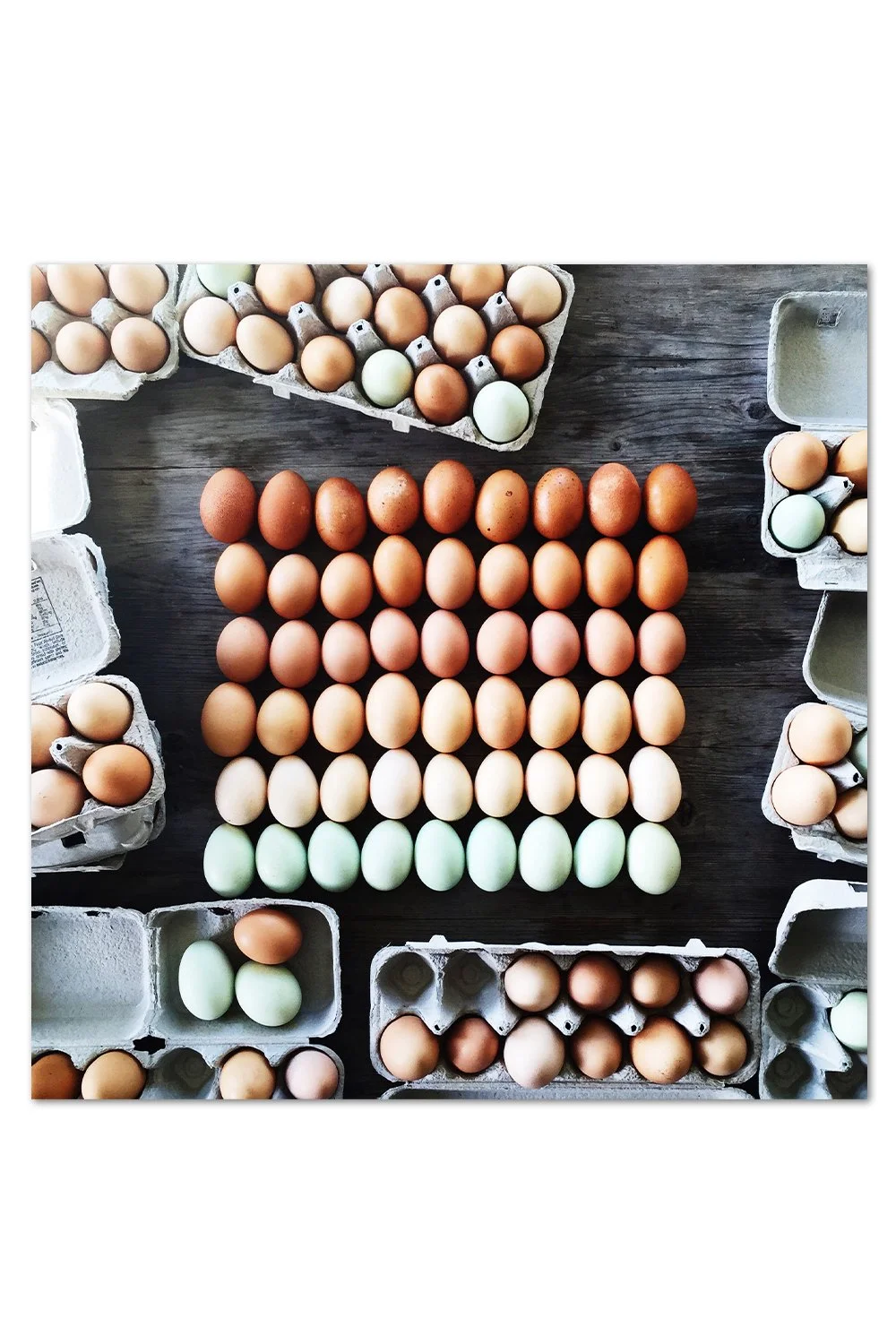 Farm Egg Gradient Print