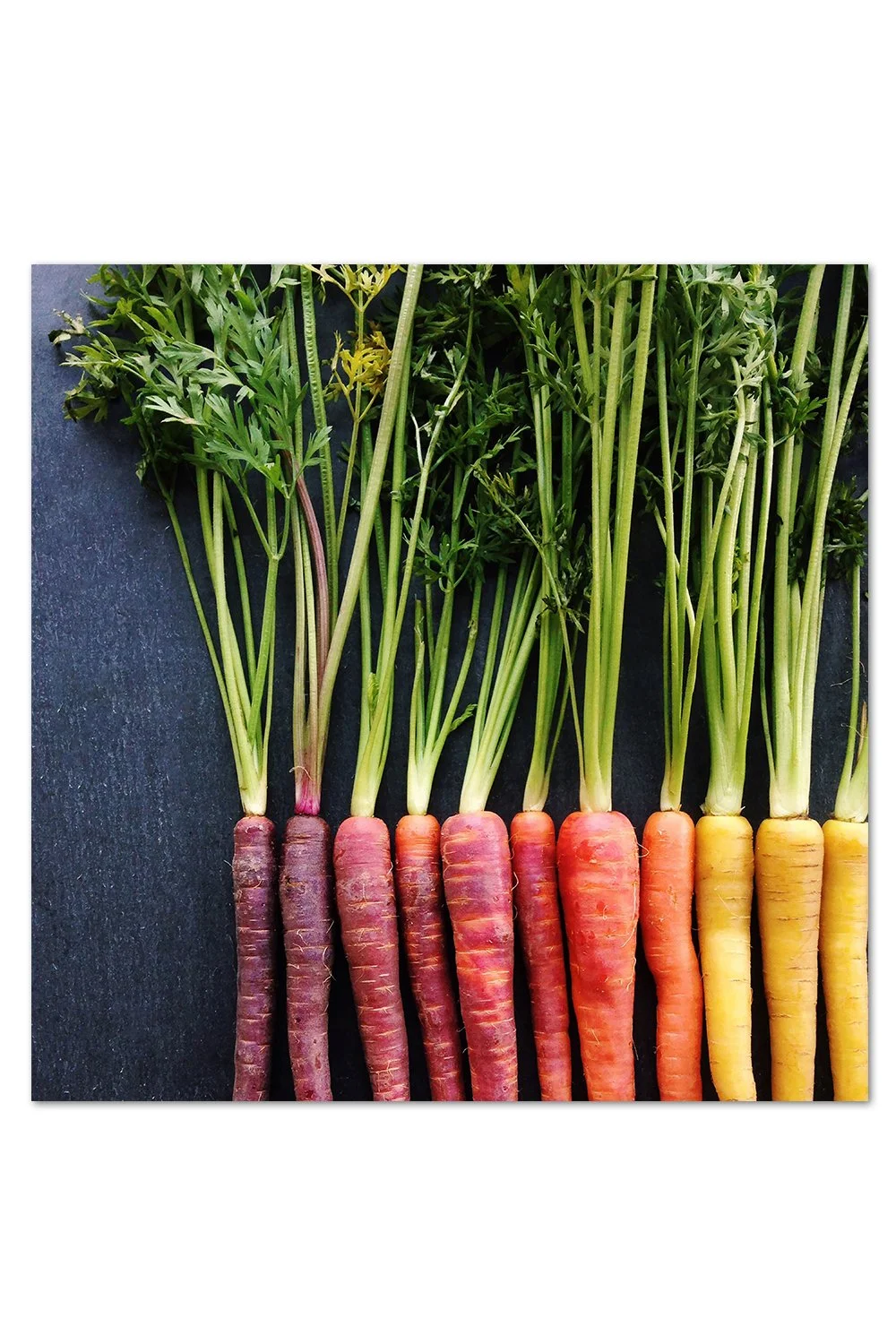Carrot Gradient Print