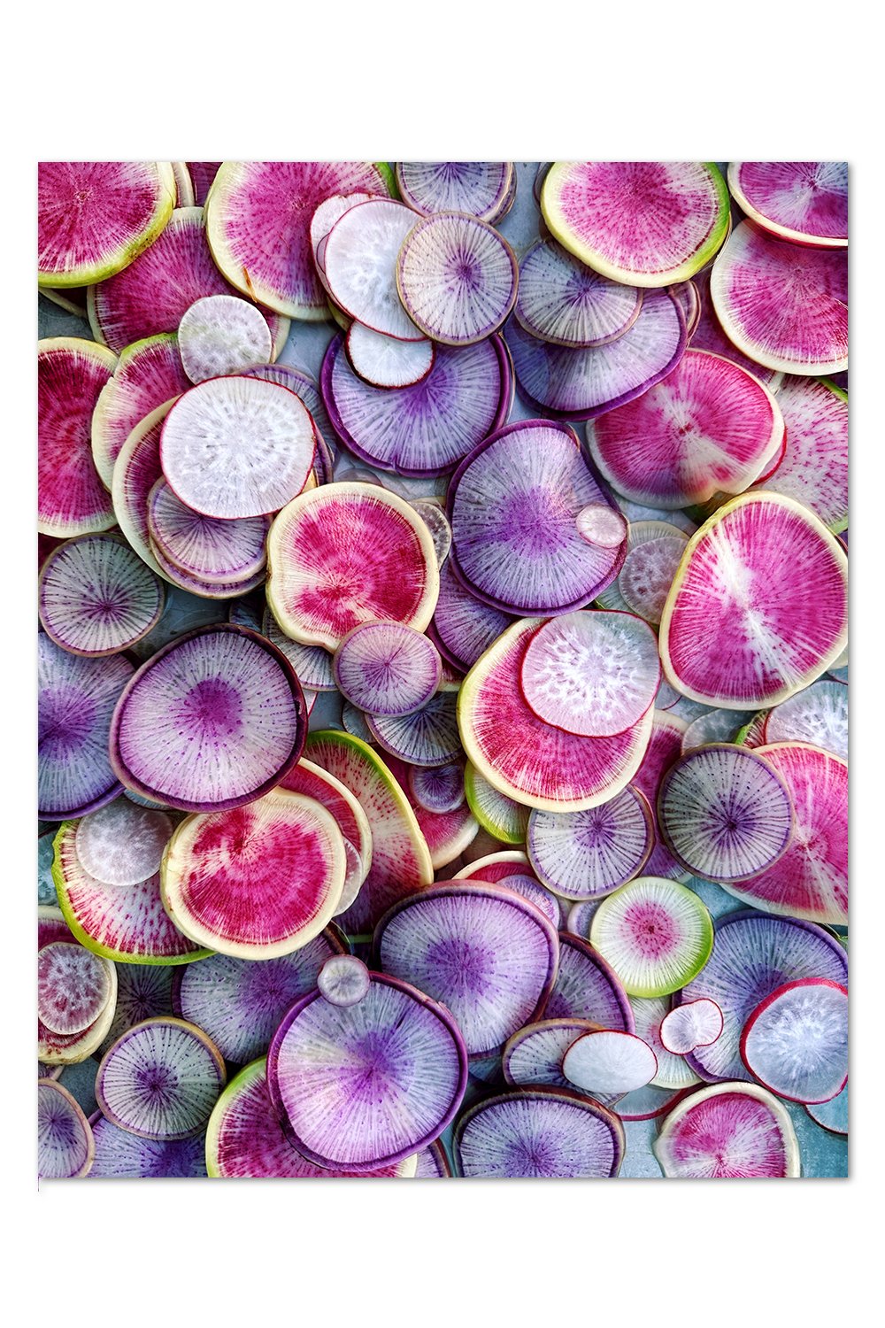 Sliced Radish Print v.2