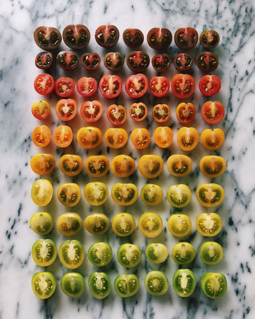 Tomato-Gradient-v.10.jpg