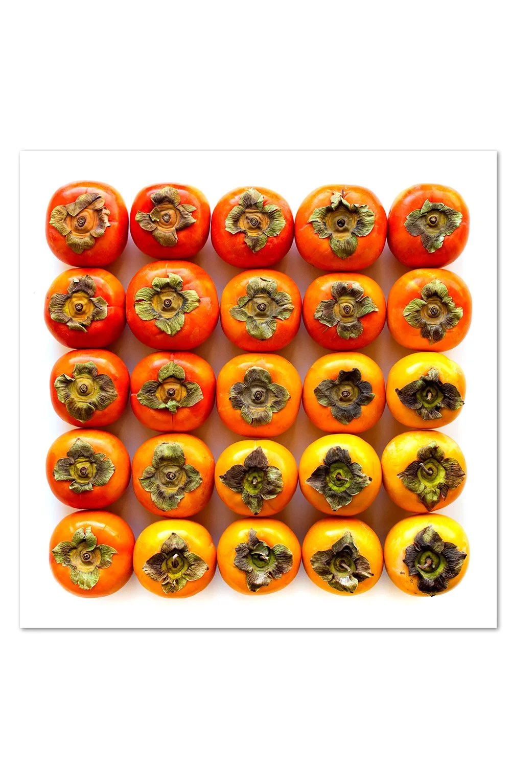 Persimmon Gradient Print