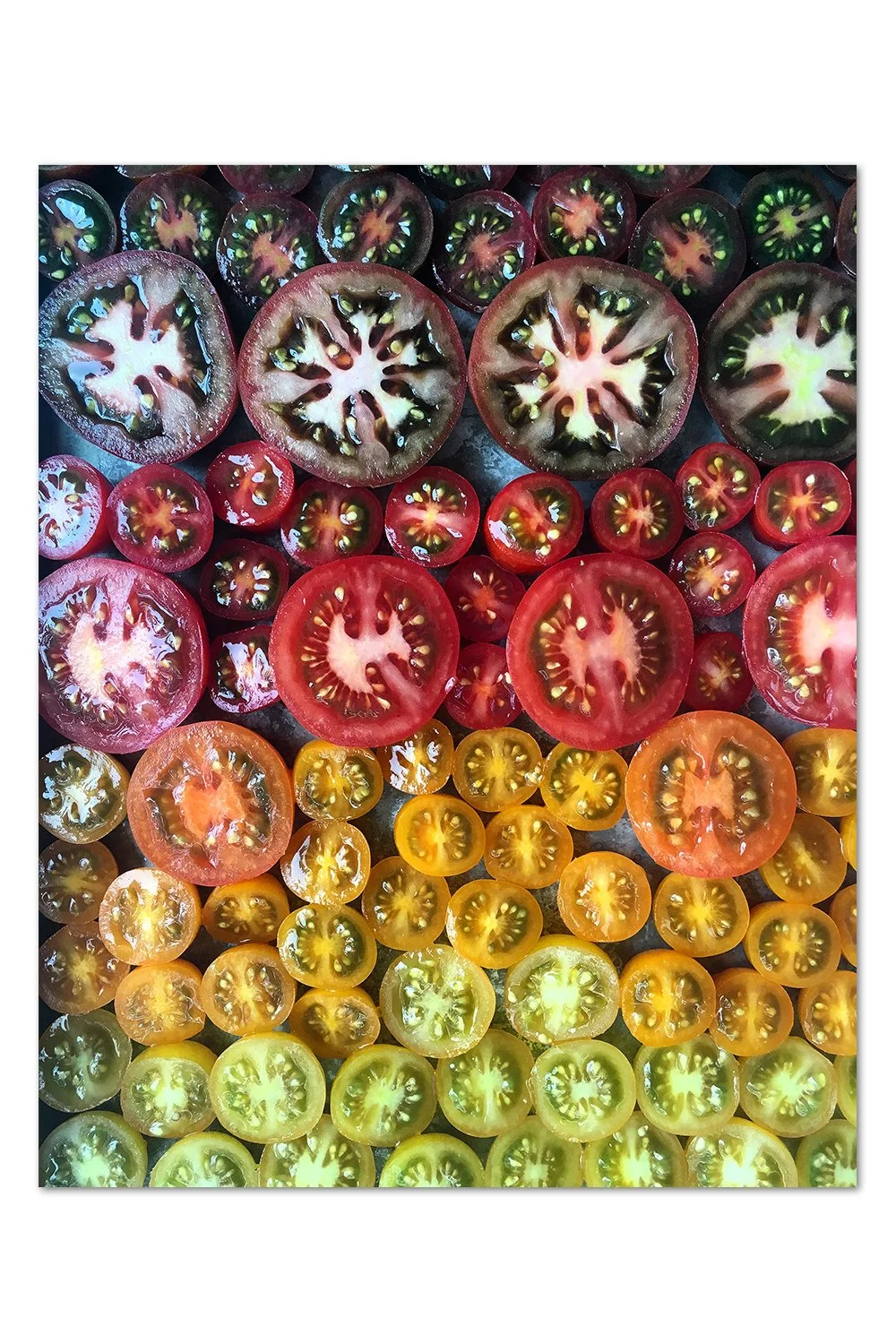 Tomato Gradient v.4 Print