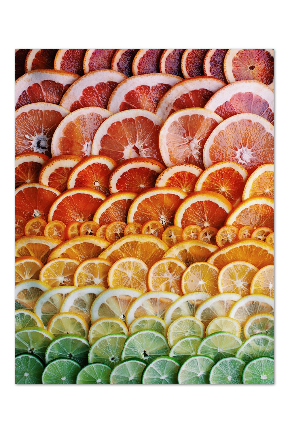 Sliced Citrus Gradient Print