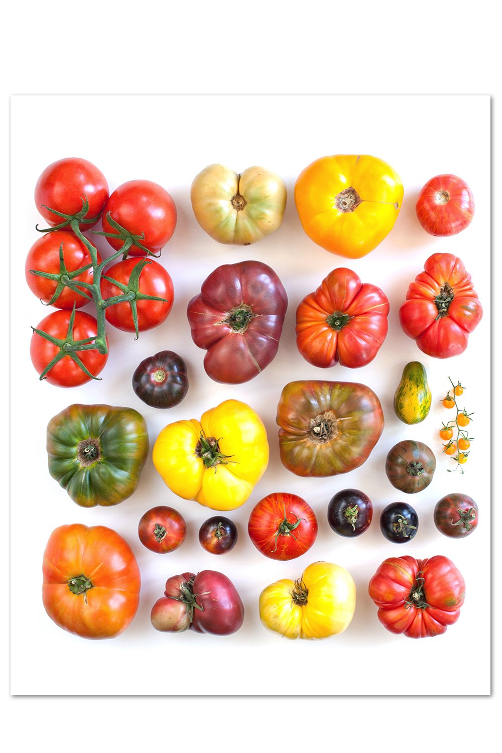 Tomato Equality Print