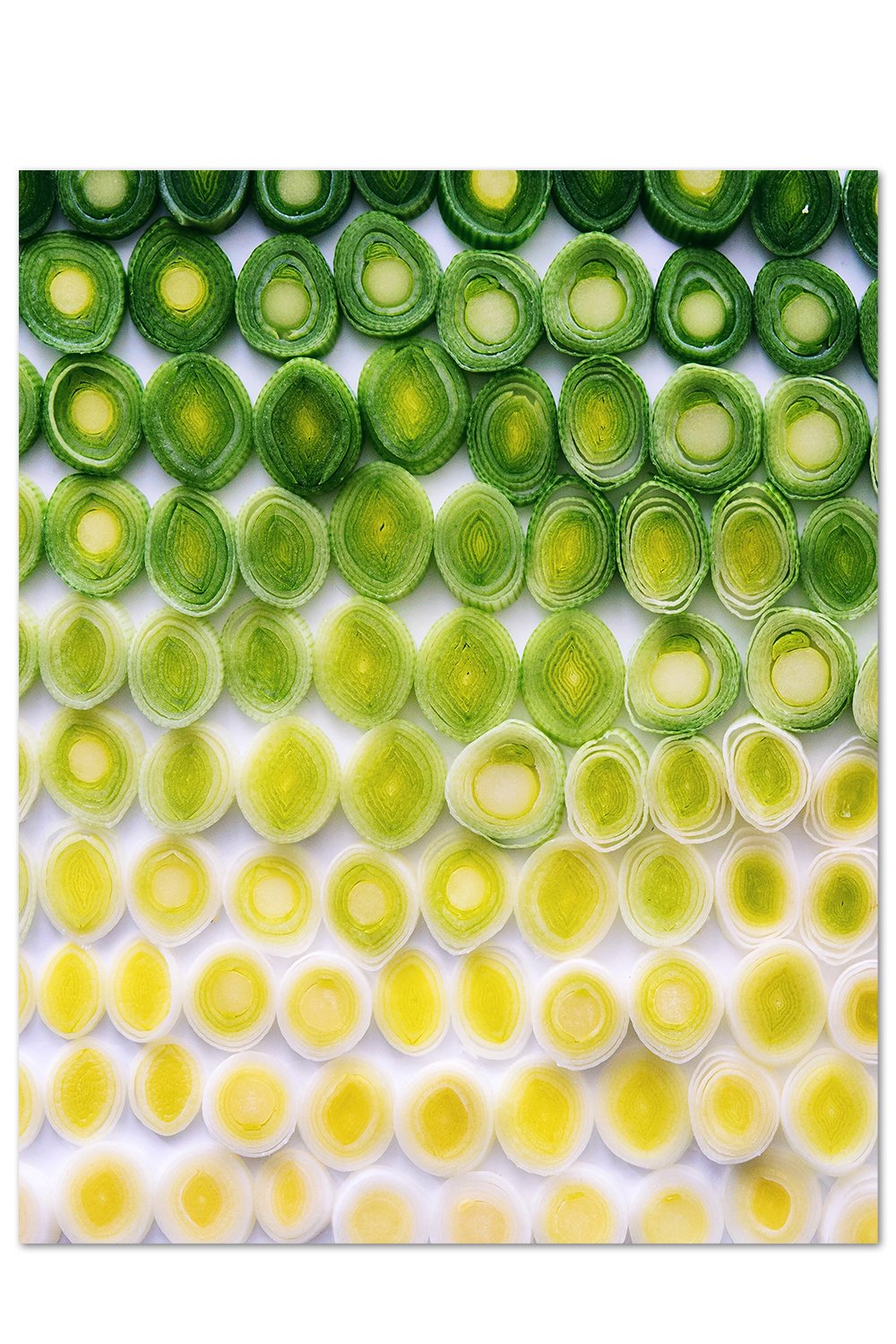 Leek Gradient Print