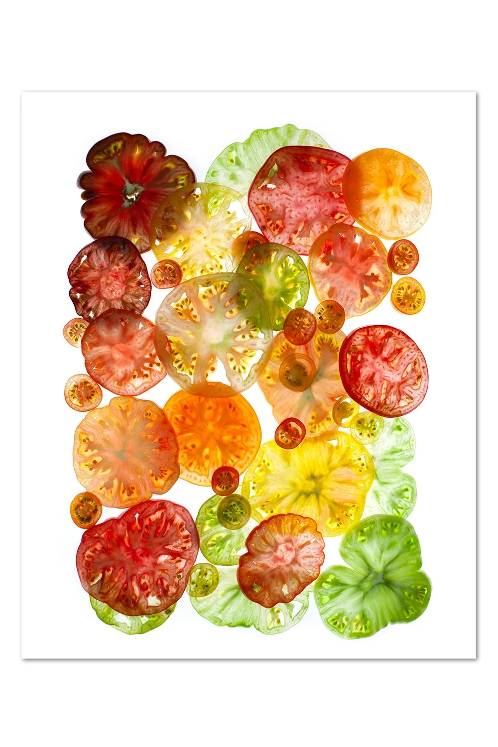 Backlit Tomato Pattern Print