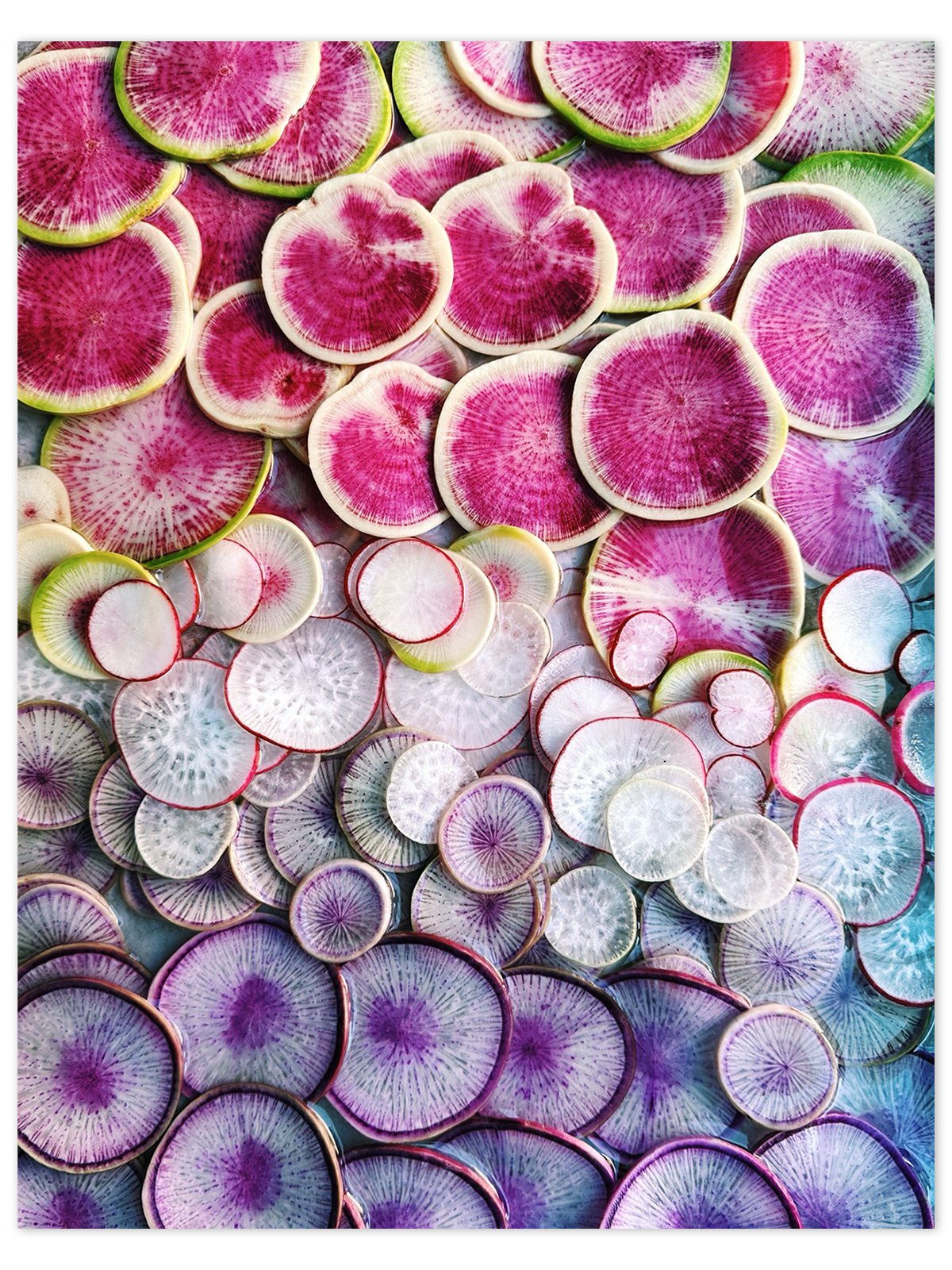 Radish-Pattern-v.1-Mini-Poster-wrightkitchen.com.jpg